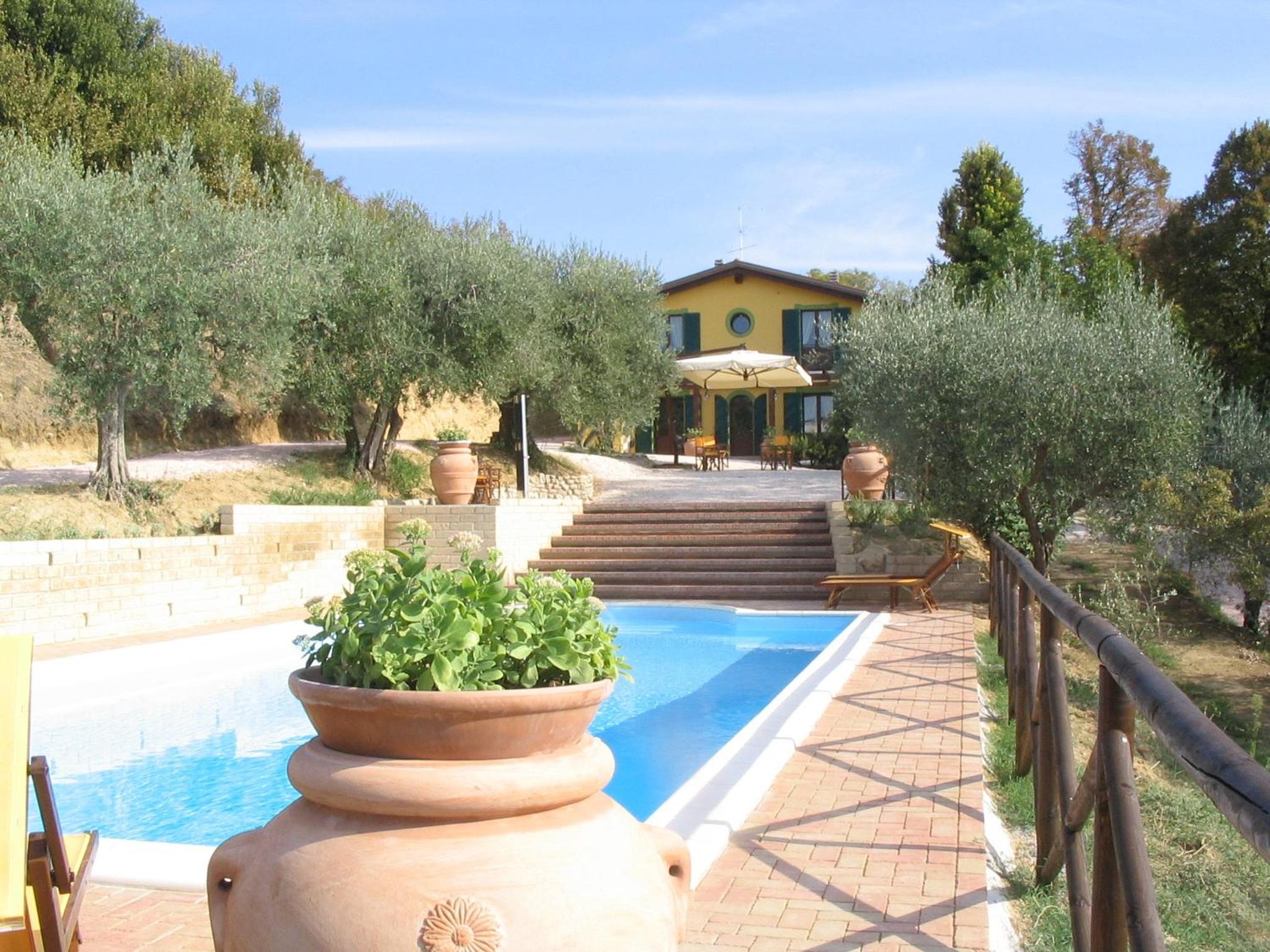 Photo 23