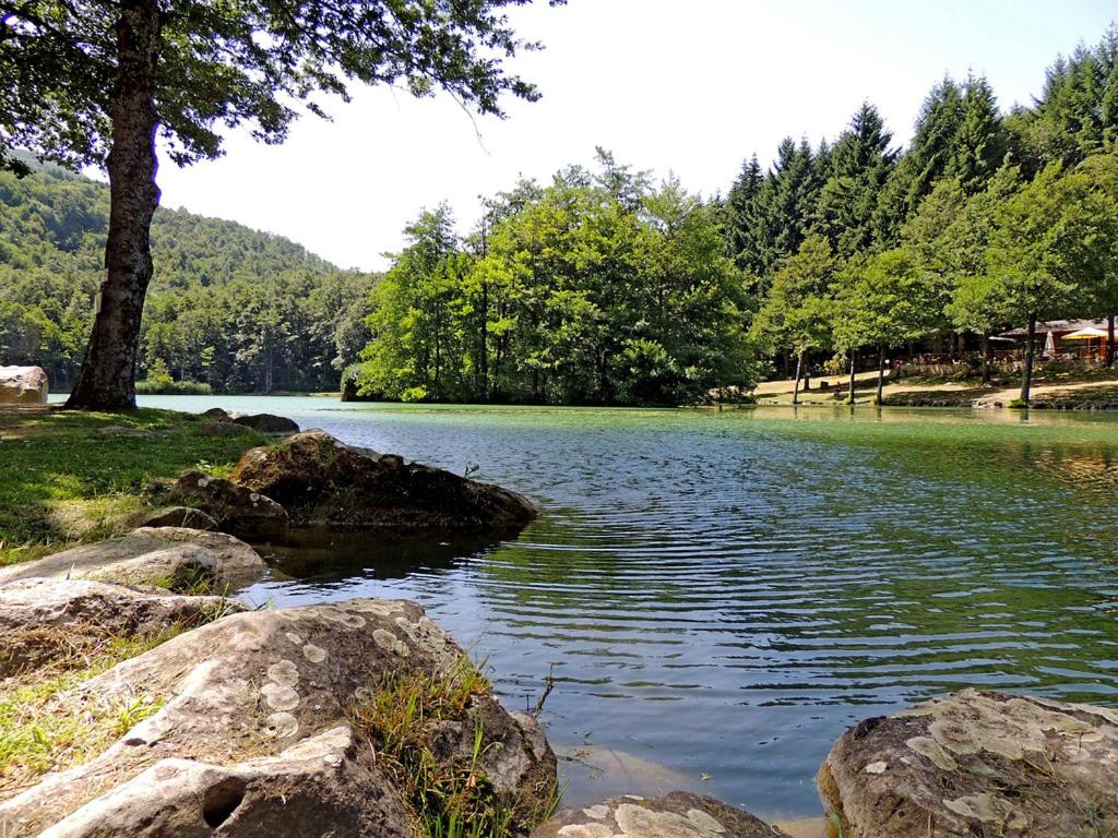 Photo 22