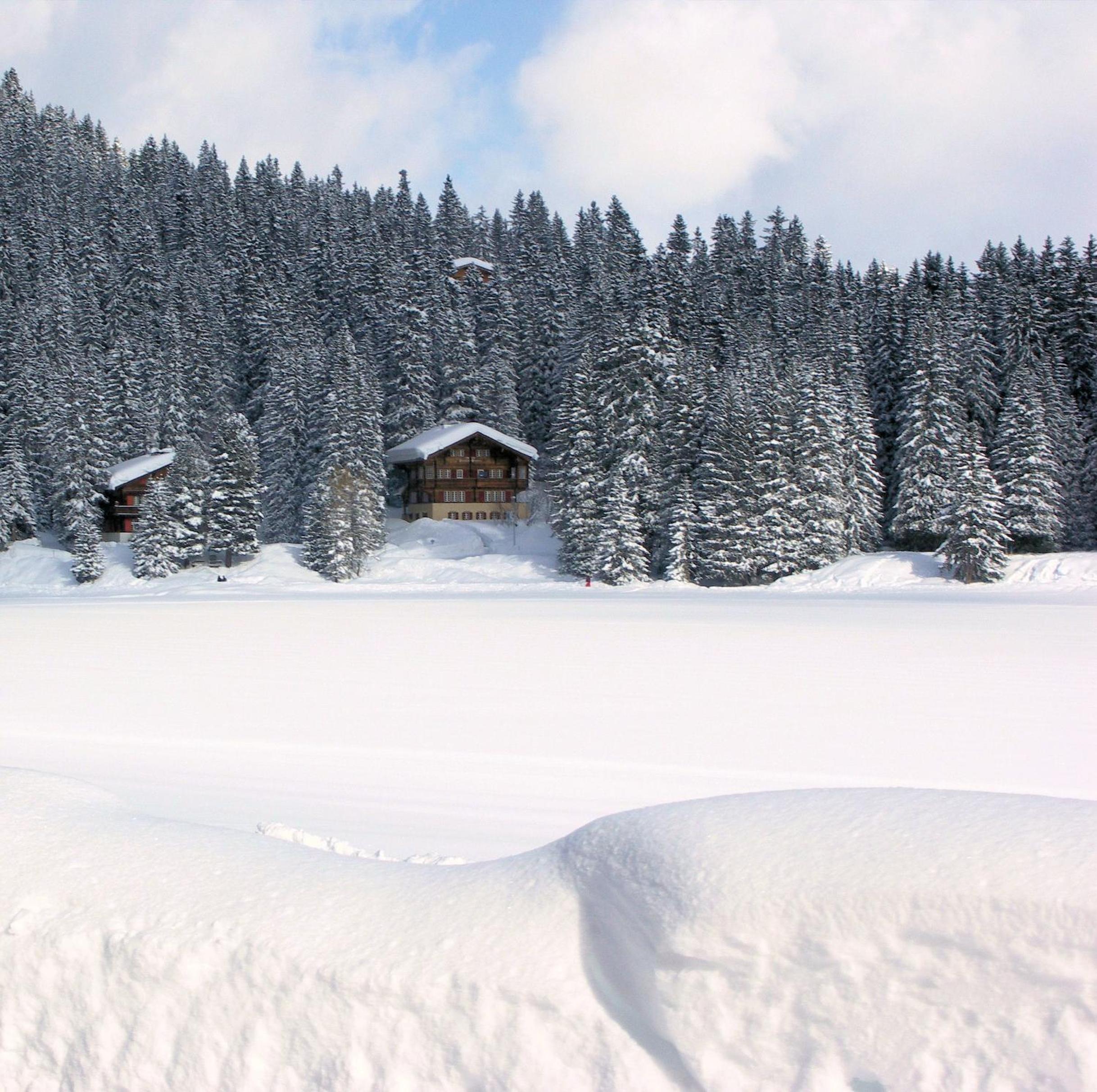 Chalet Im Wieselti
