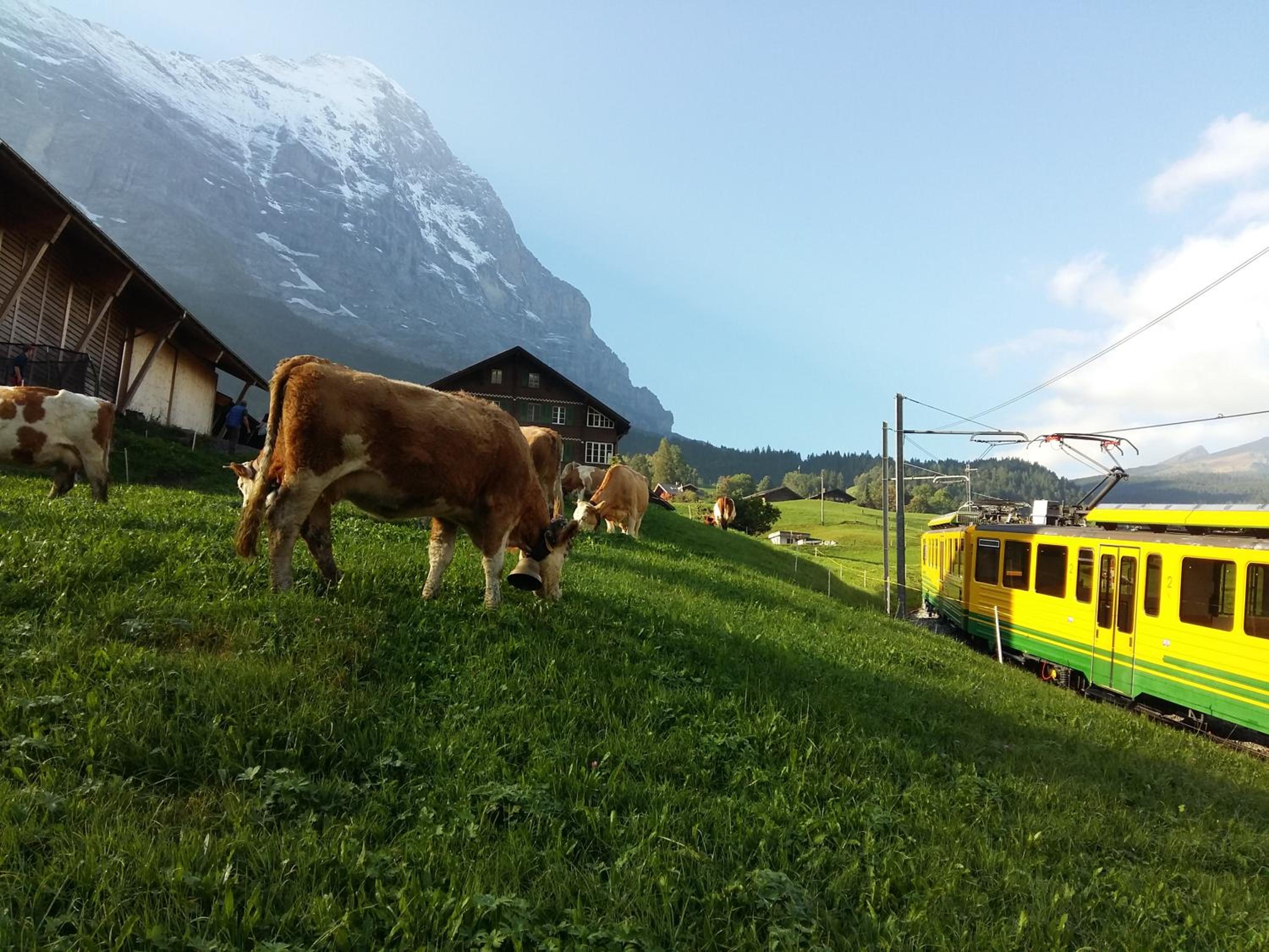 Chalet Bärgblick