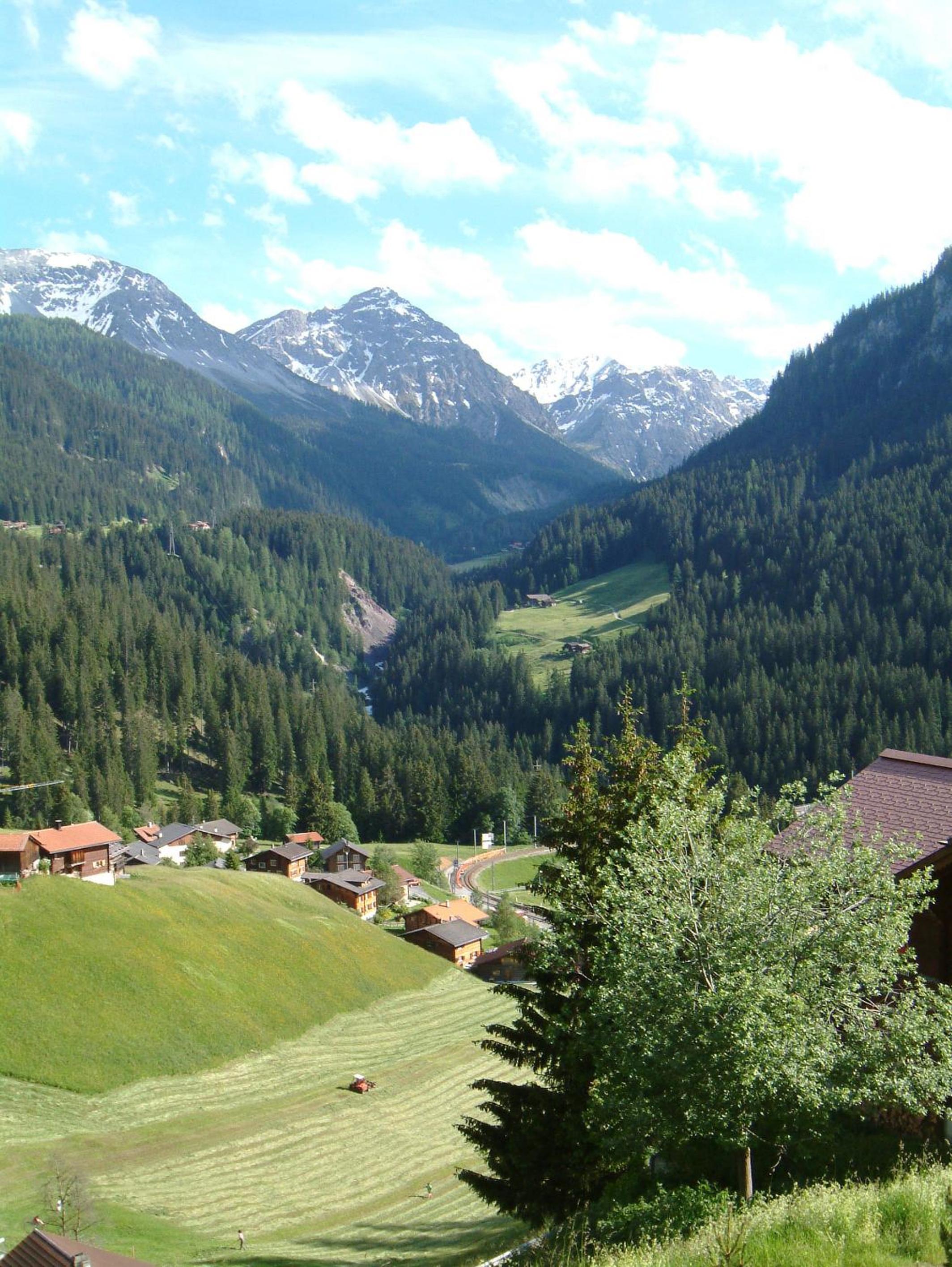 Chalet Im Wieselti
