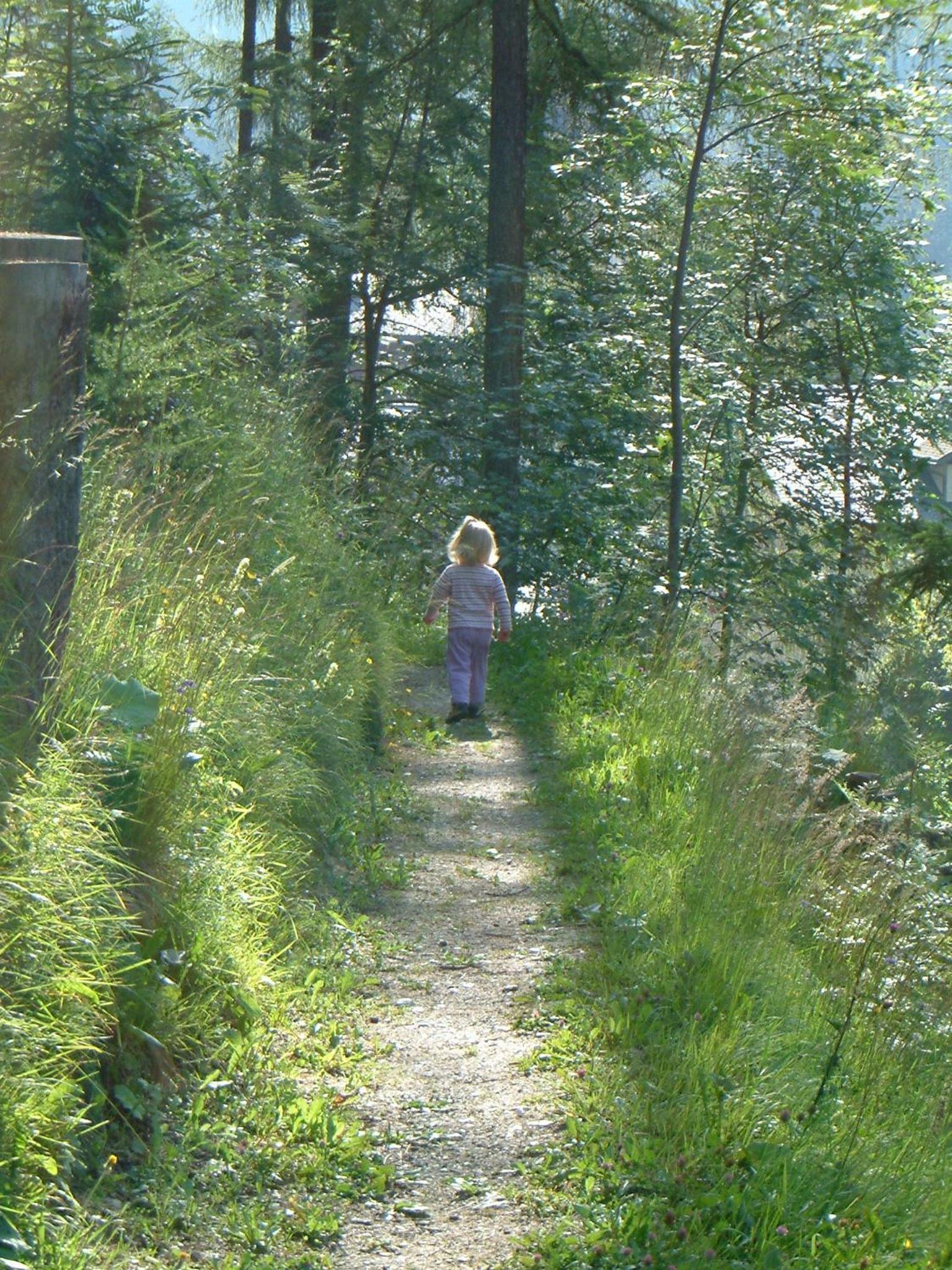 Chalet Im Wieselti
