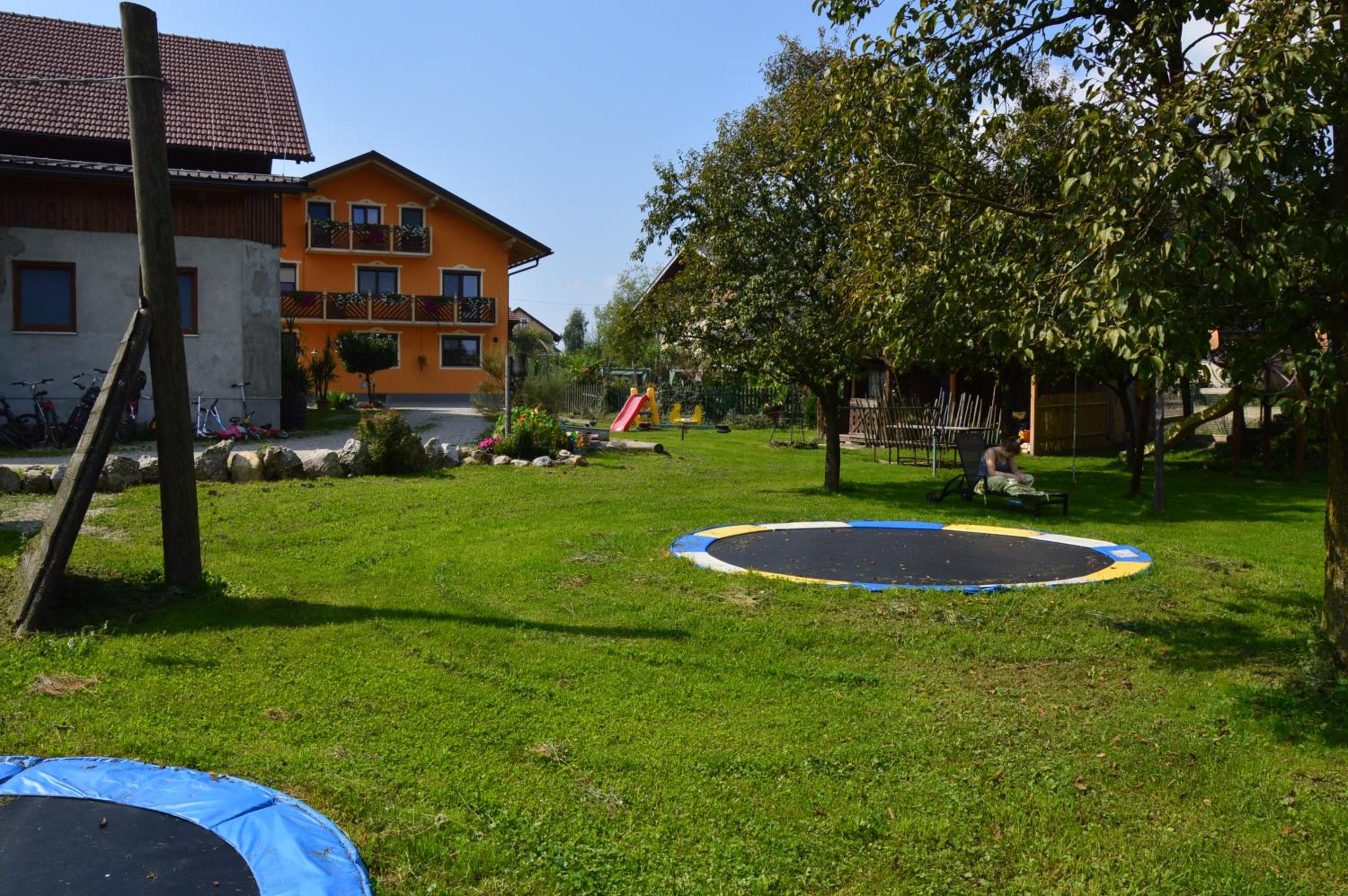 Photo 11