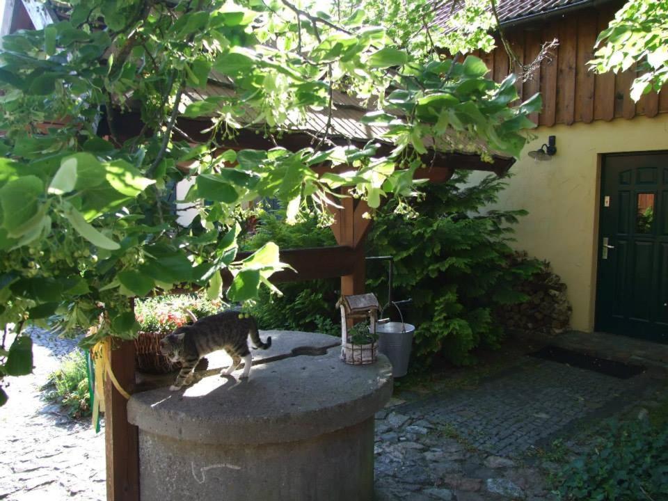 Photo 72