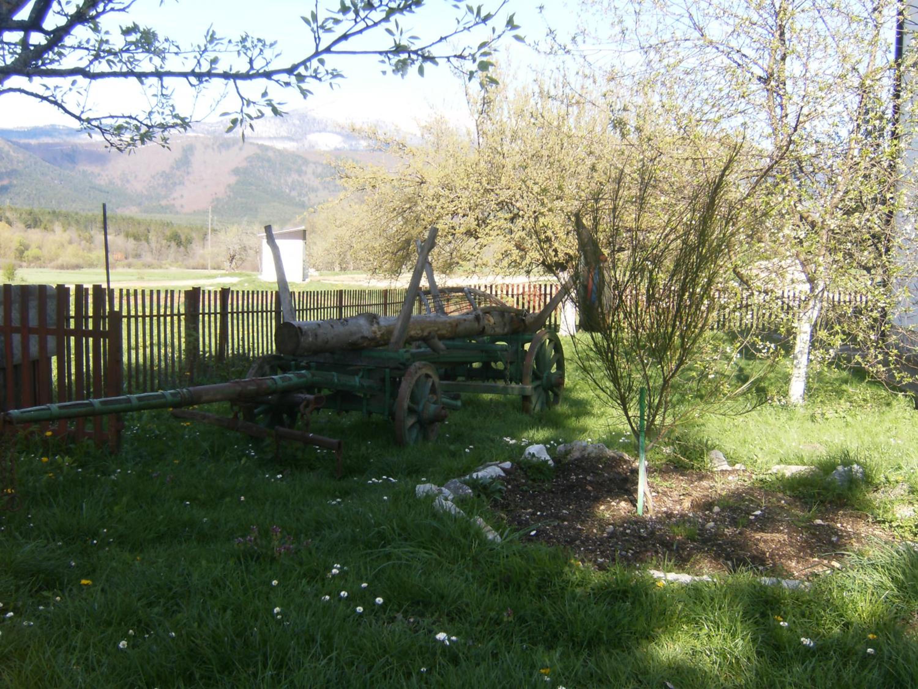 House Drakulić