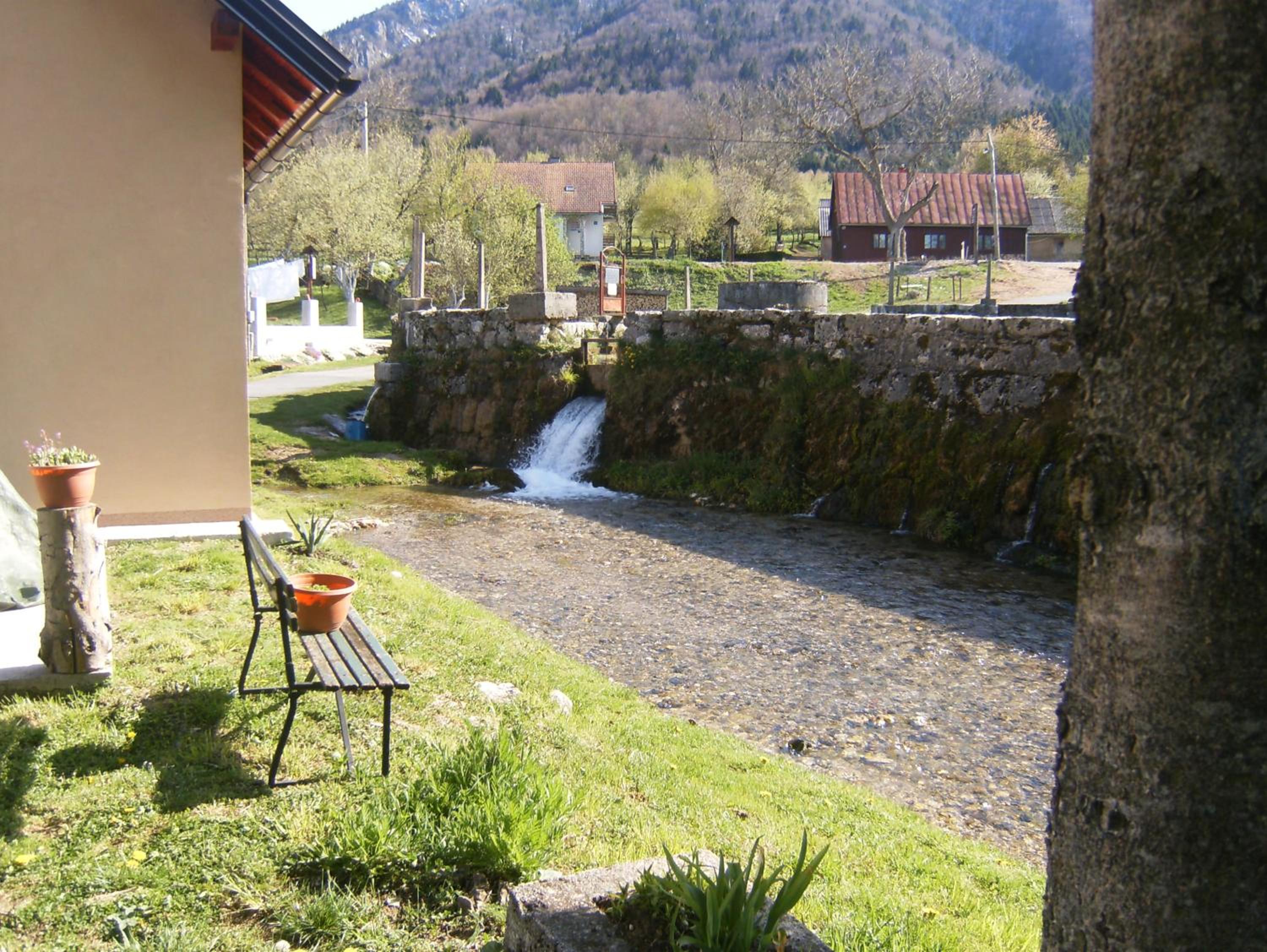 House Drakulić