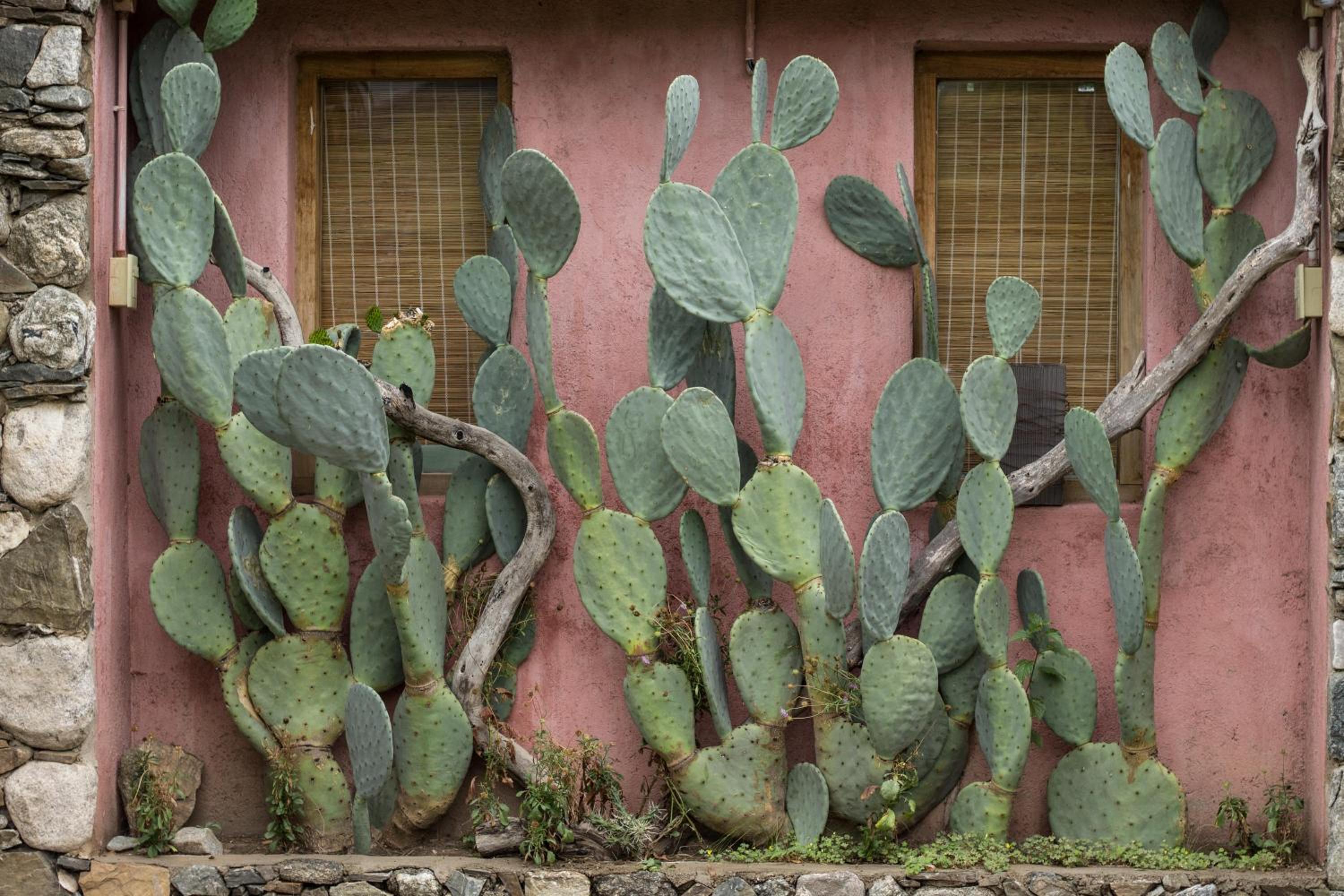 La Teresita Posada