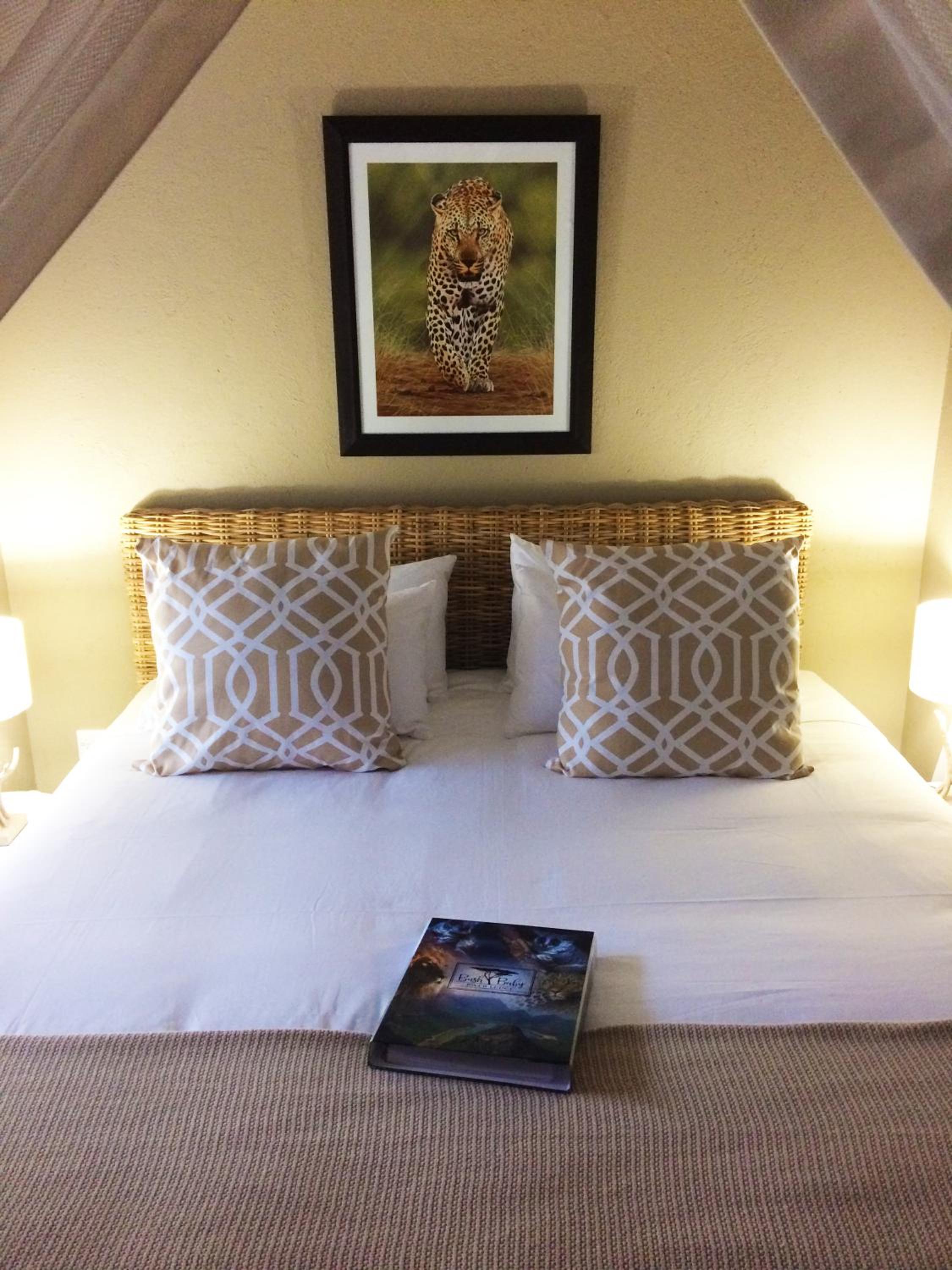 Bushbaby River Lodge