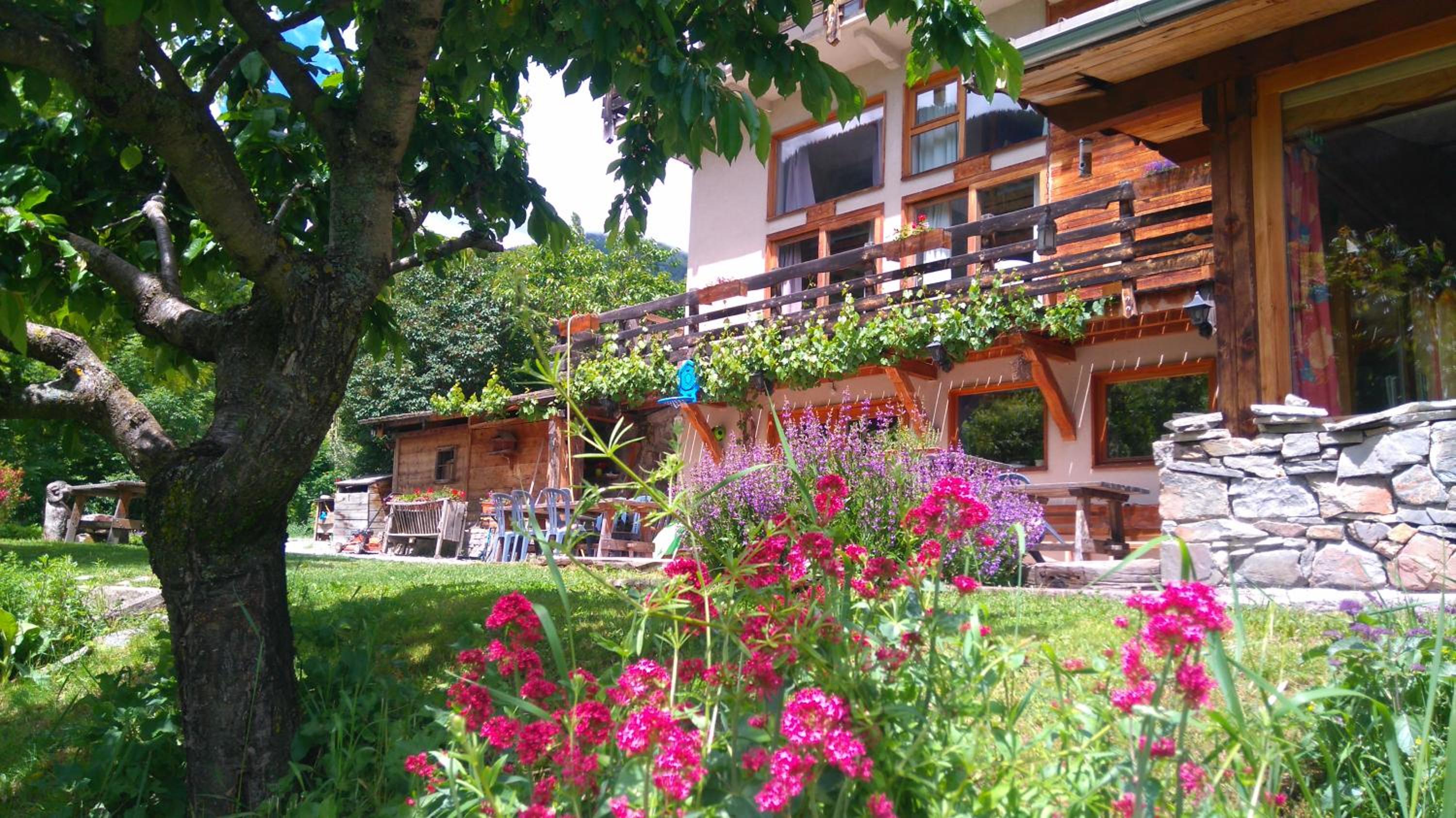 garden