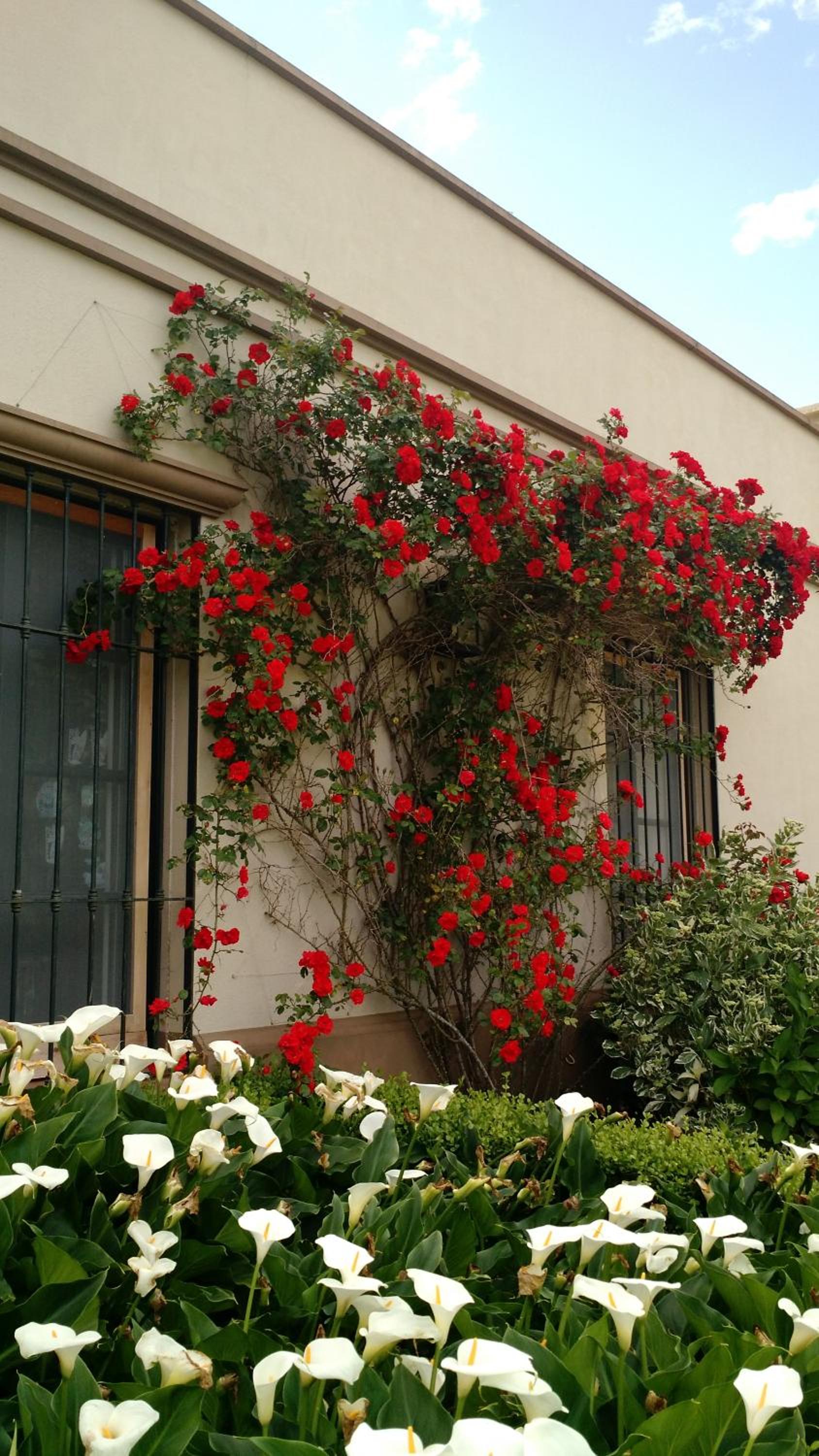 Casa Colonial La Alegria