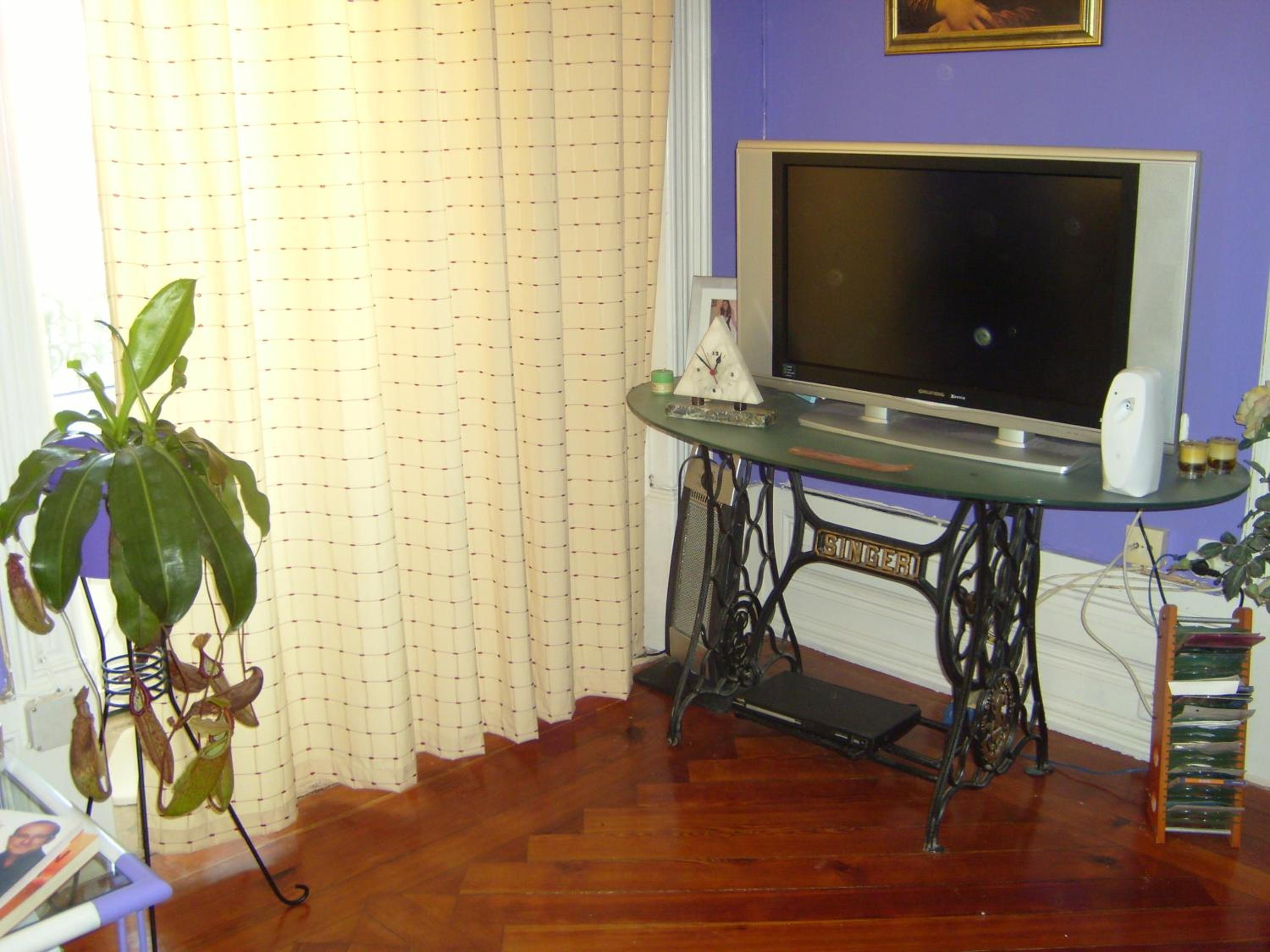 Photo 50