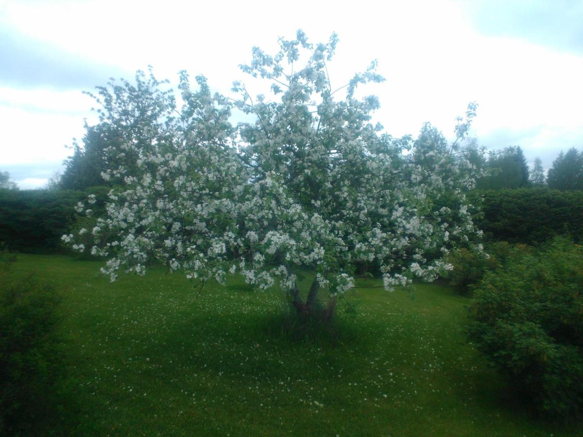 Photo 27