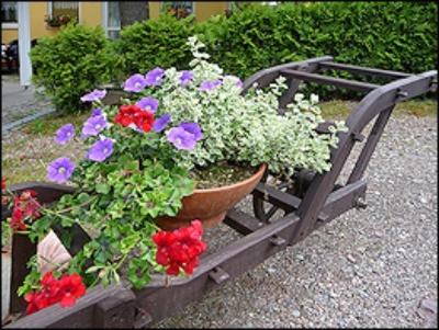 Gasthaus & Pension Zum Hirsch