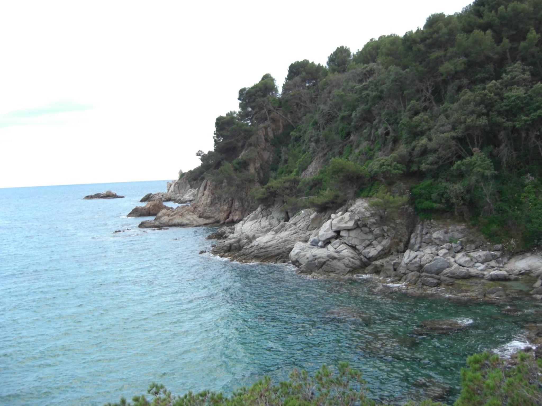 Photo 44