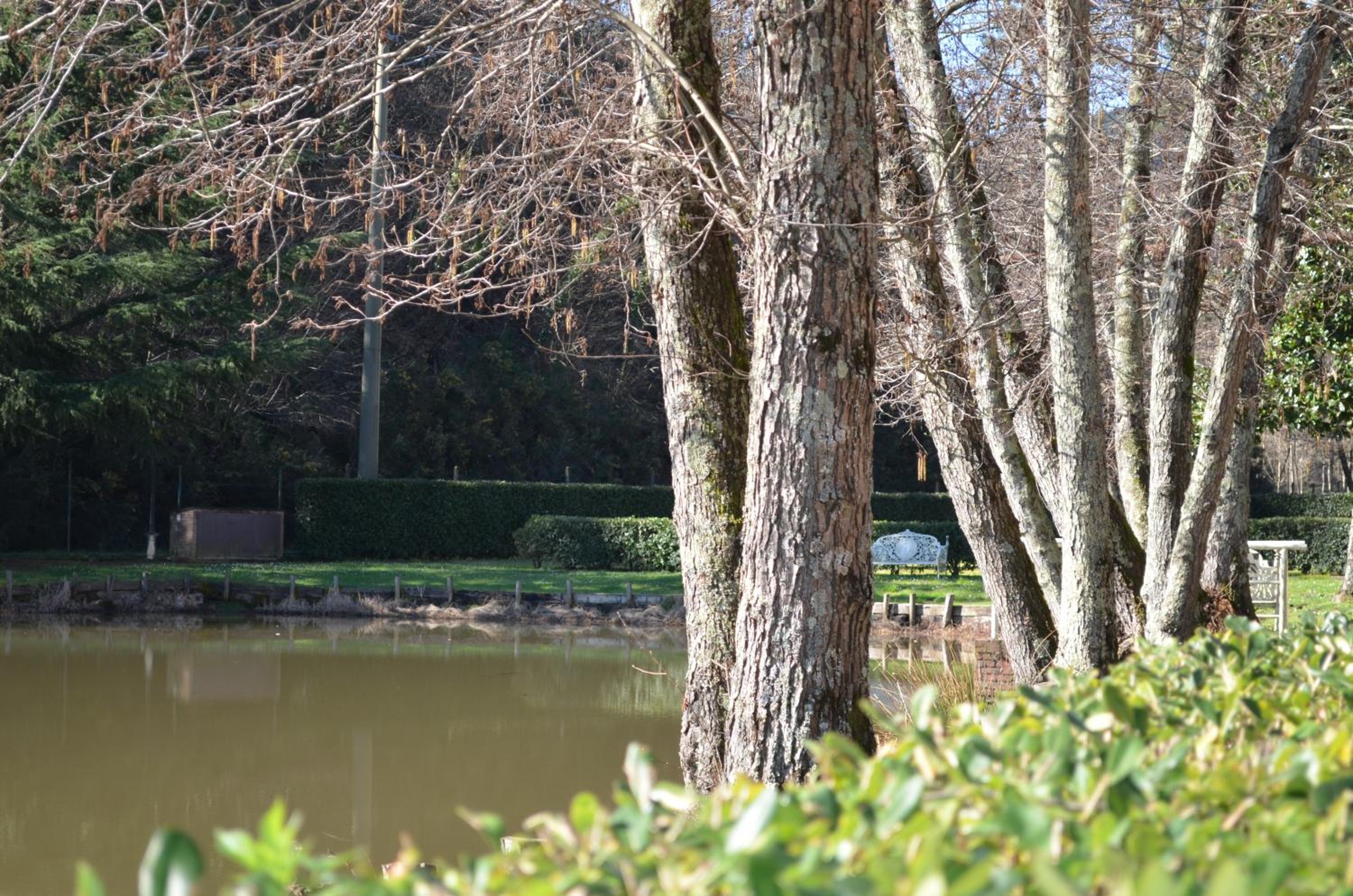 Molino del Rotone photo 3