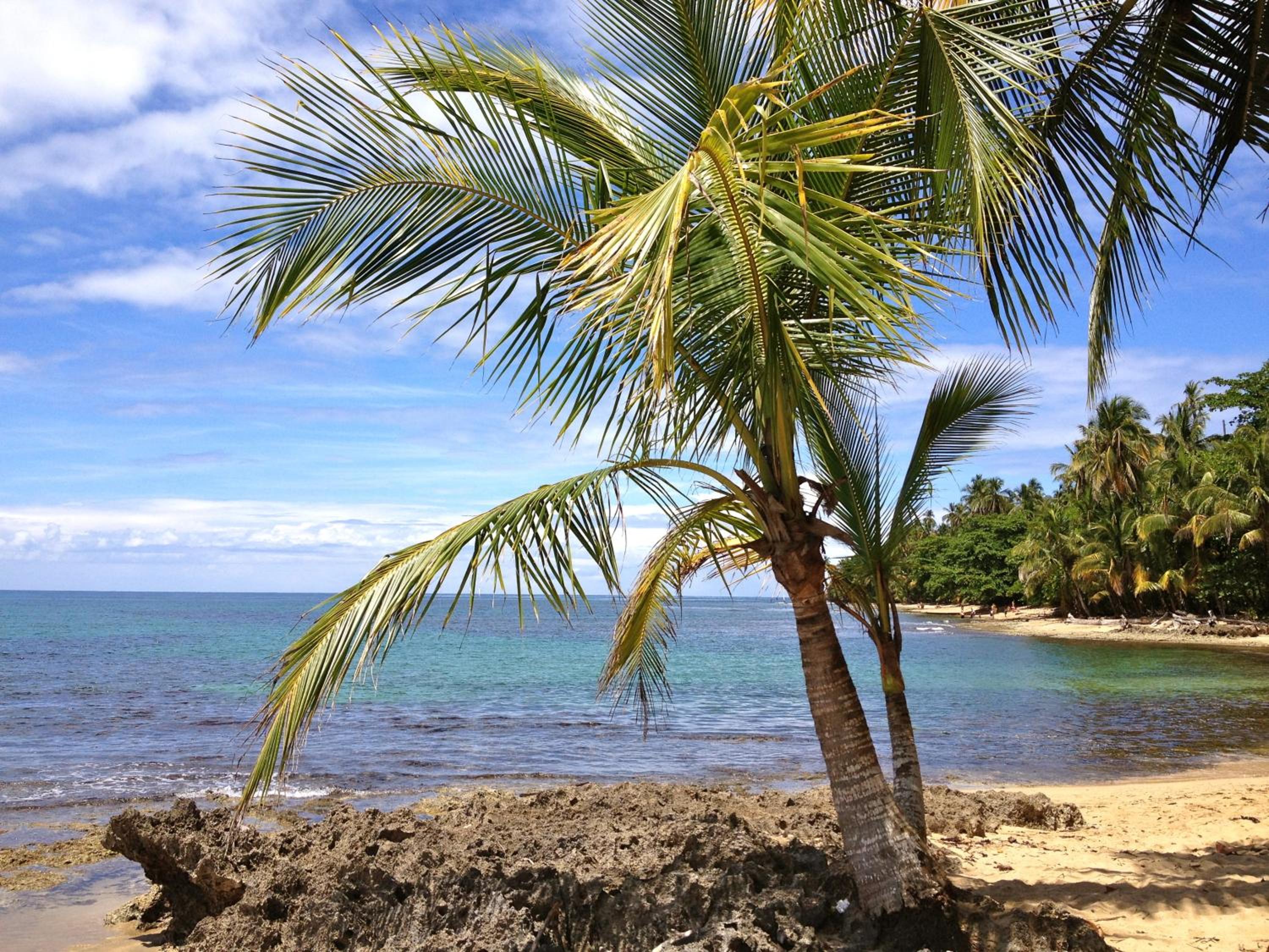 Costa Rica Caribbean Coast Vacations - Physis Caribbean Bed  Breakfast - Property Image 6