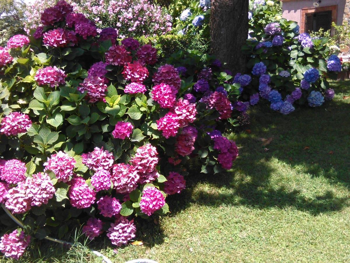 Photo 46