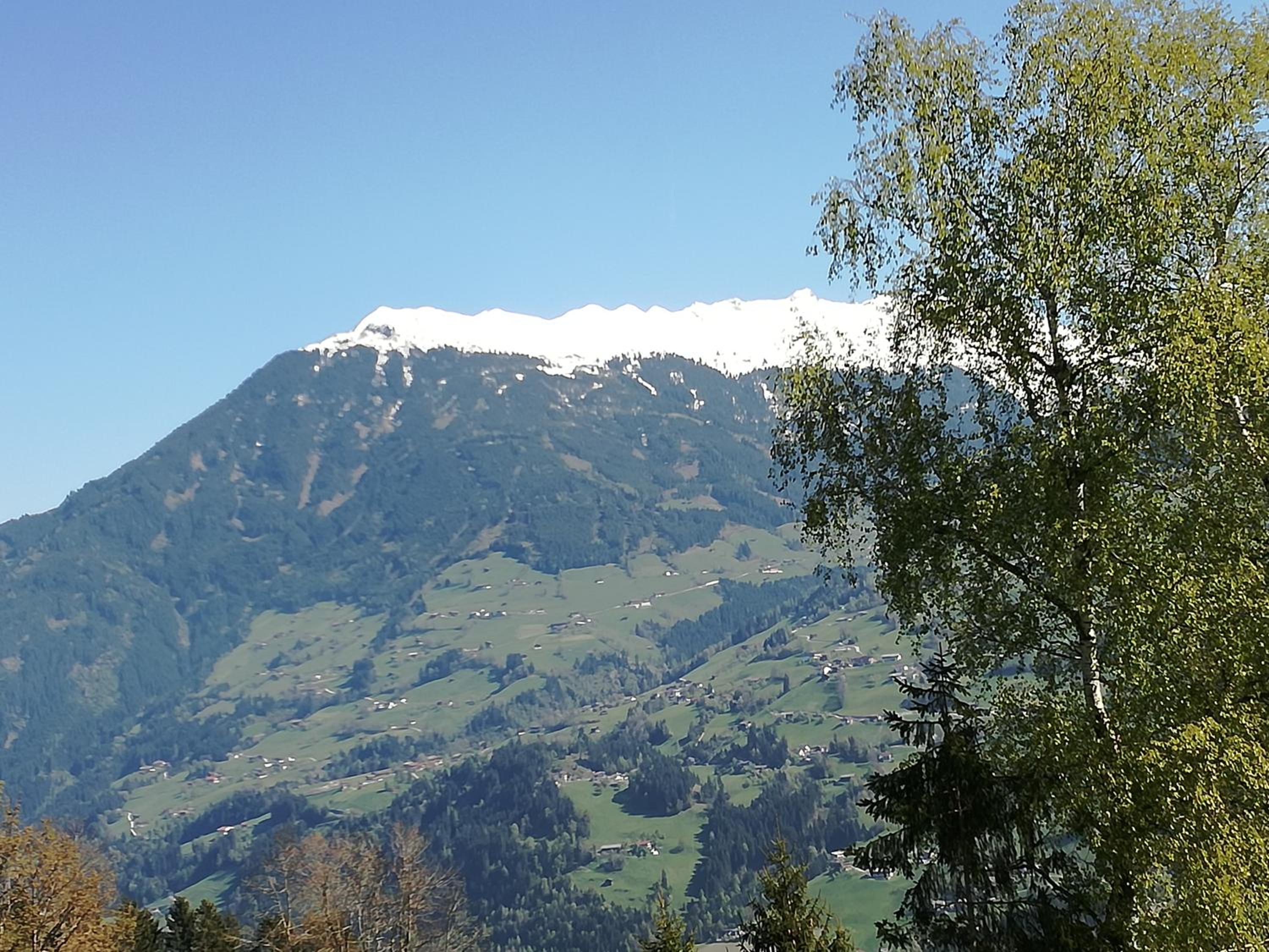 Apart Tiefenbach