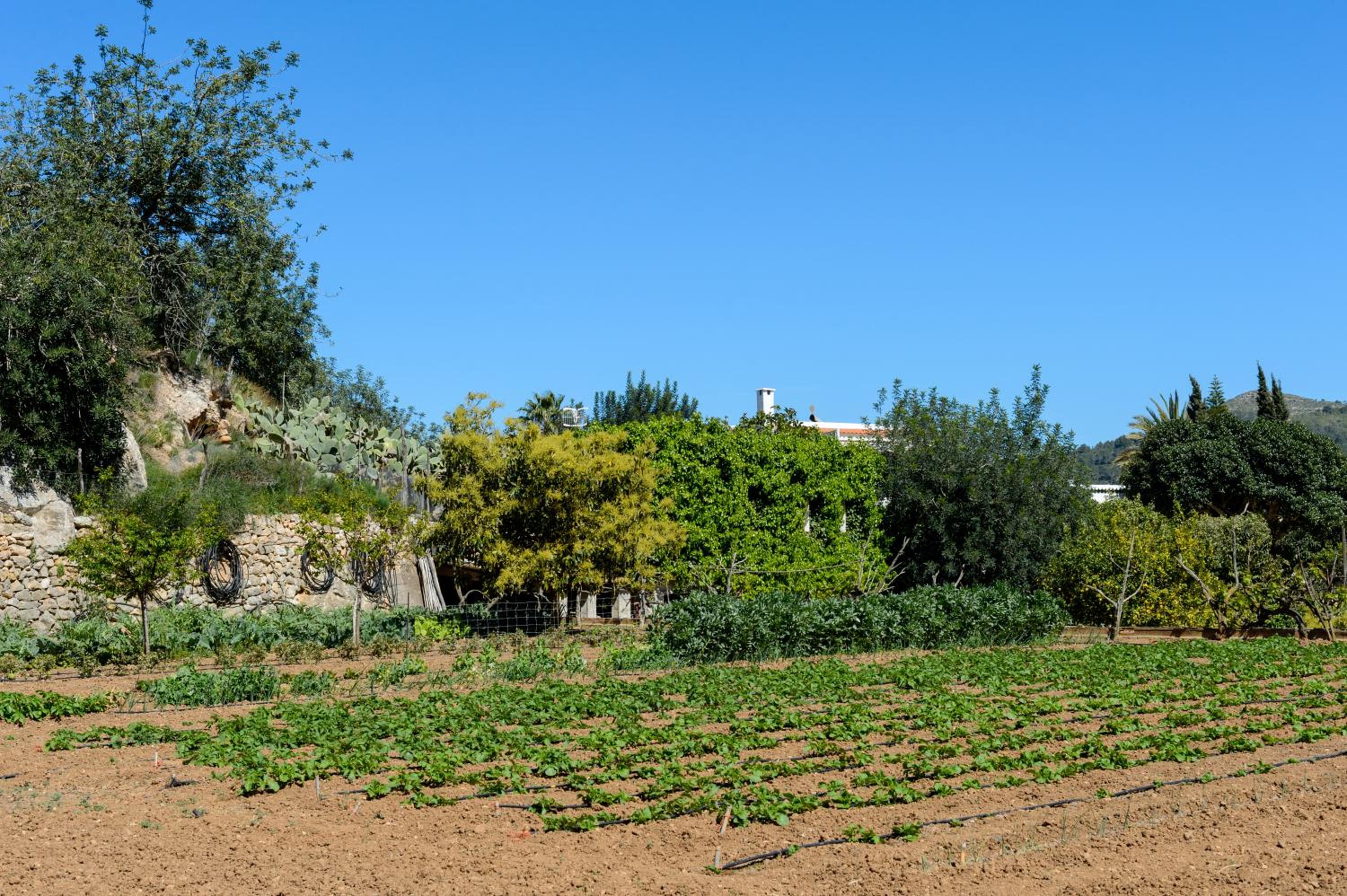 Valley Club Ibiza - Boutique Agroturismo