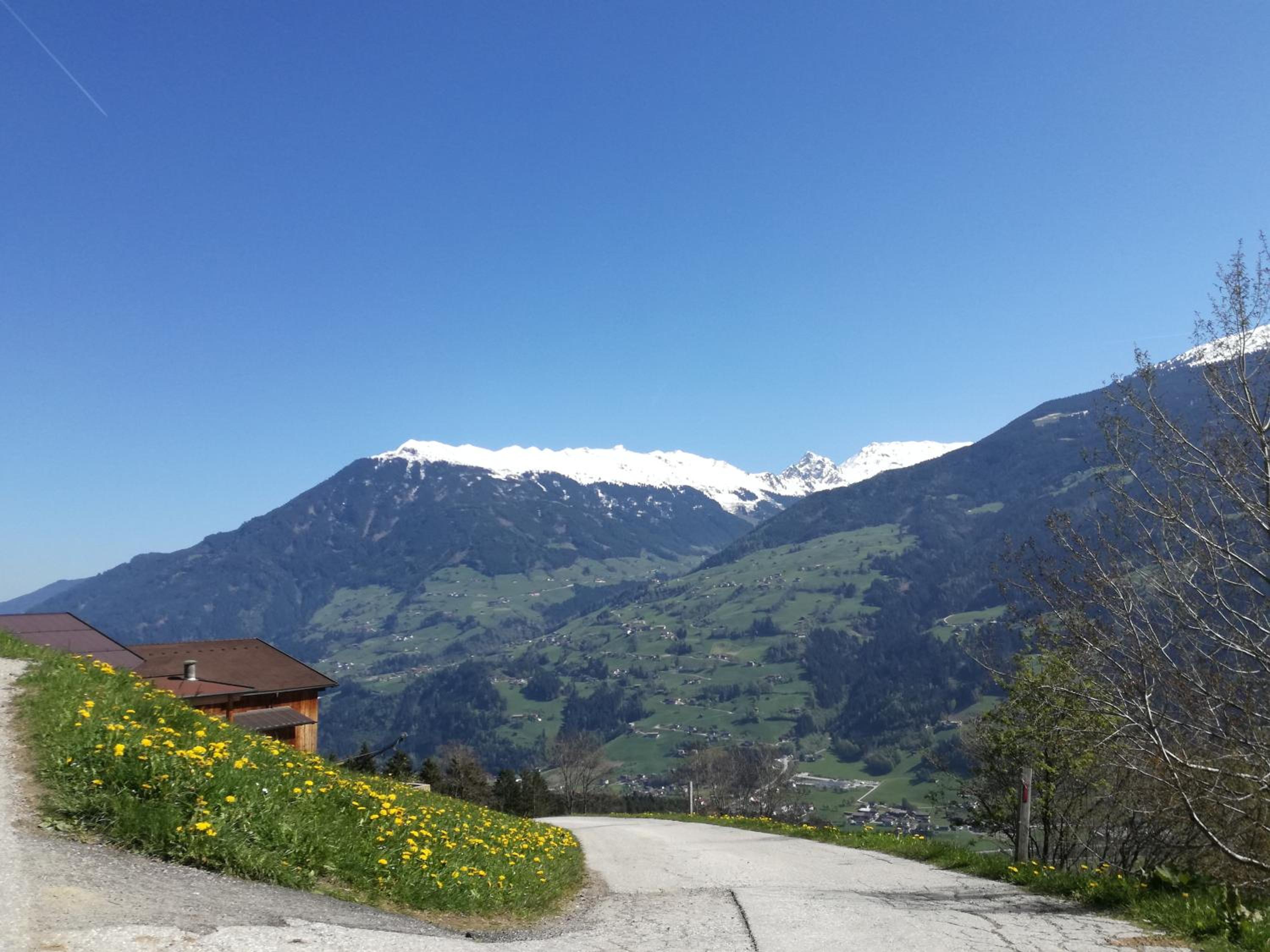 Apart Tiefenbach