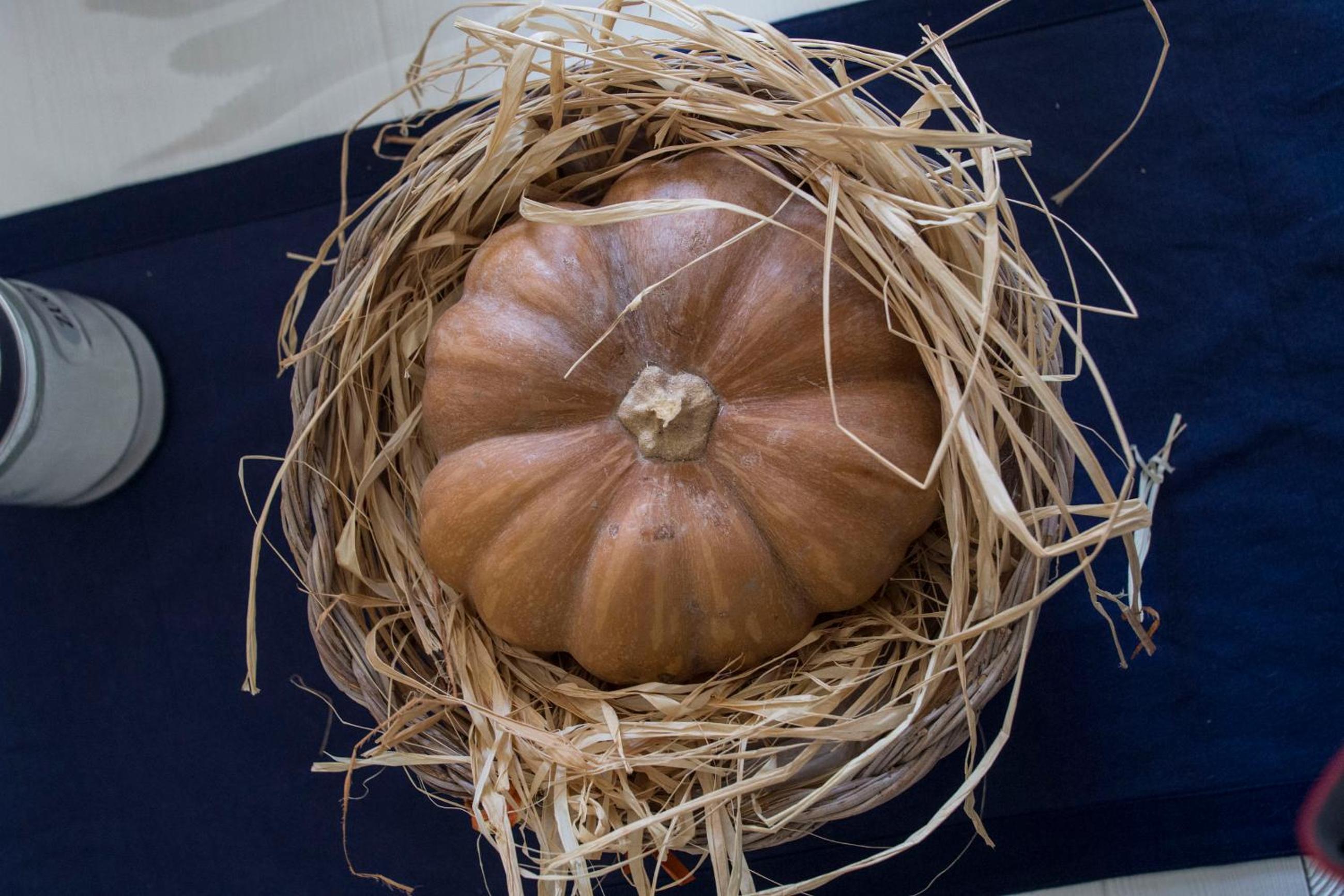 Cagliari Vacations - Miky M House BB - Property Image 2