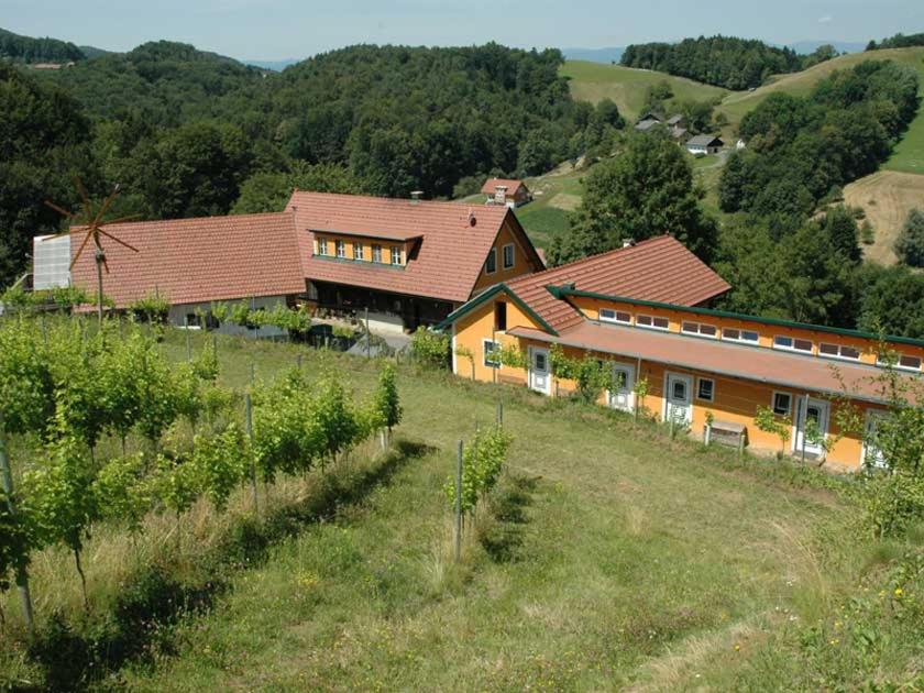 Weingut Schatz view 5
