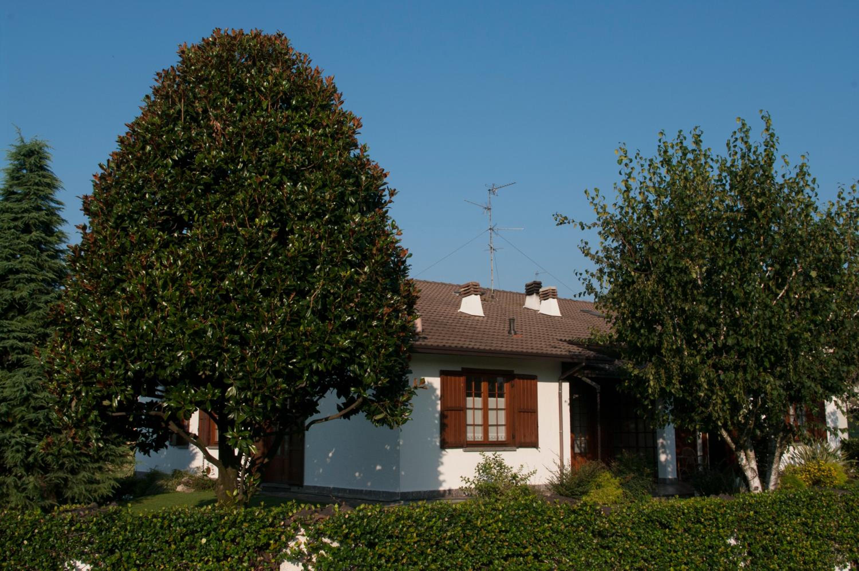 Photo 38