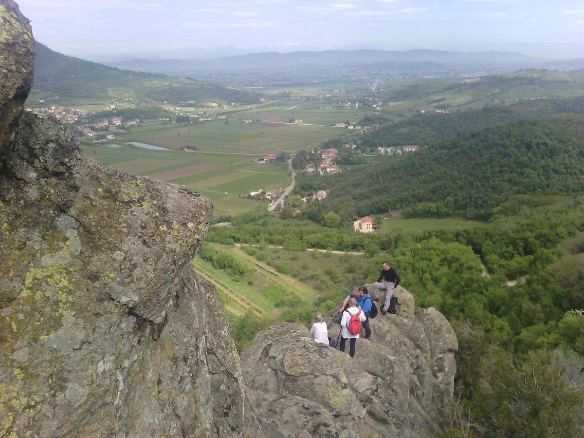 Photo 40