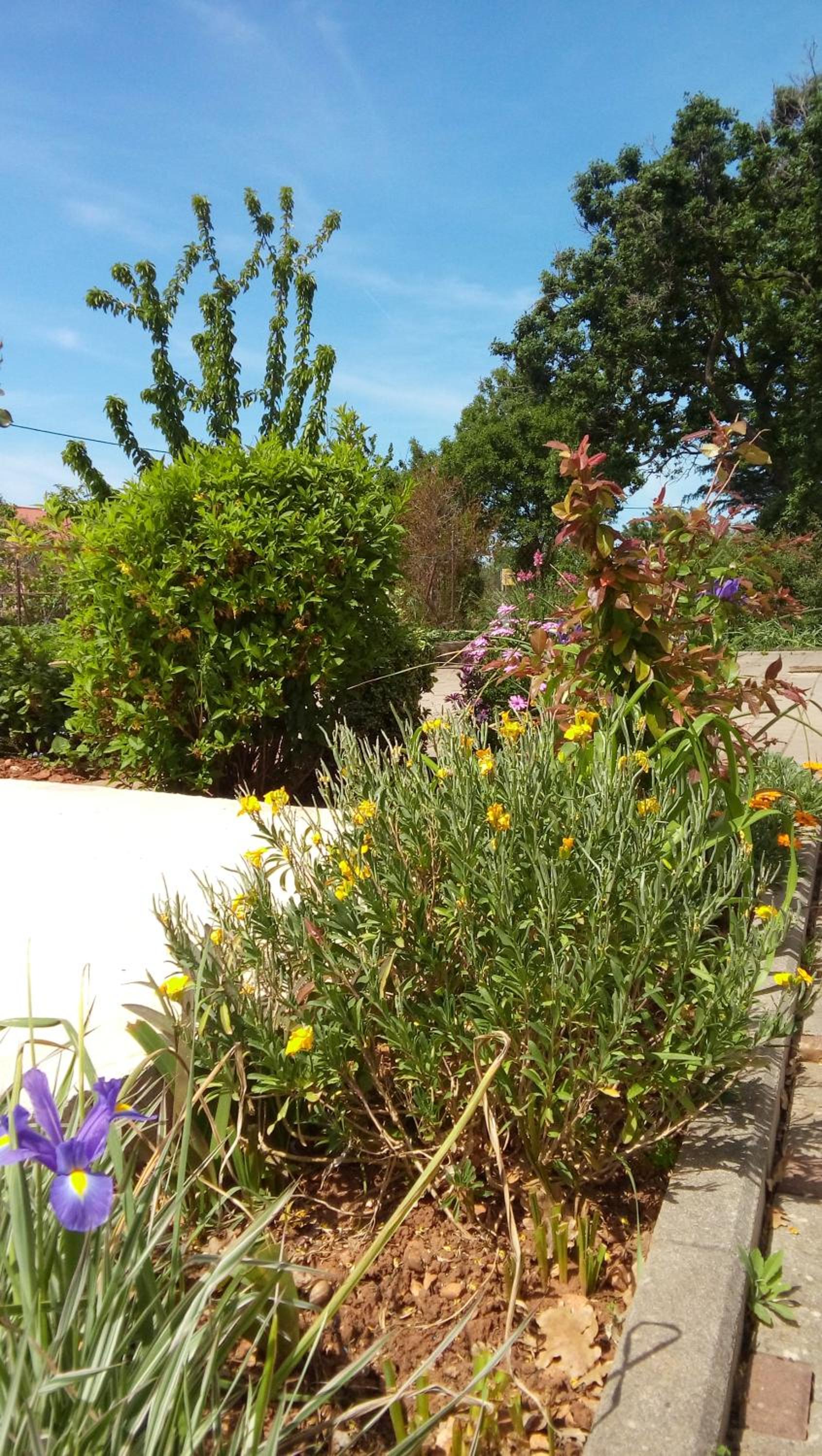 Photo 18