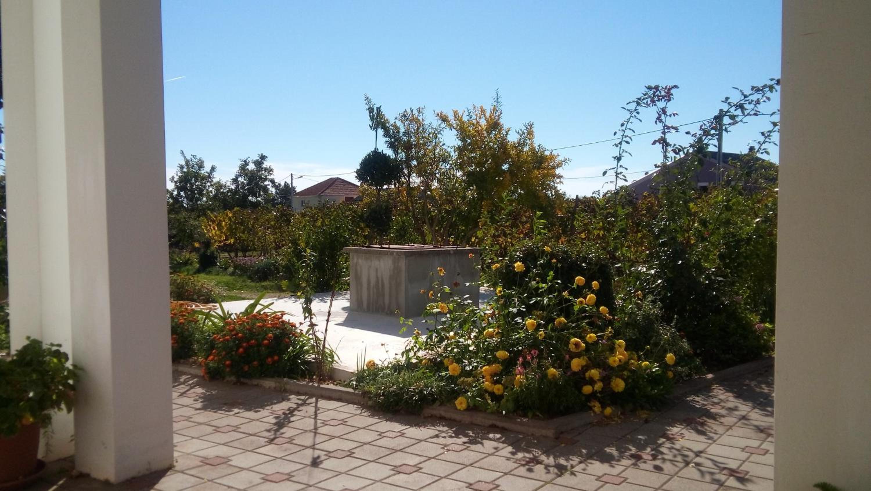 Photo 49