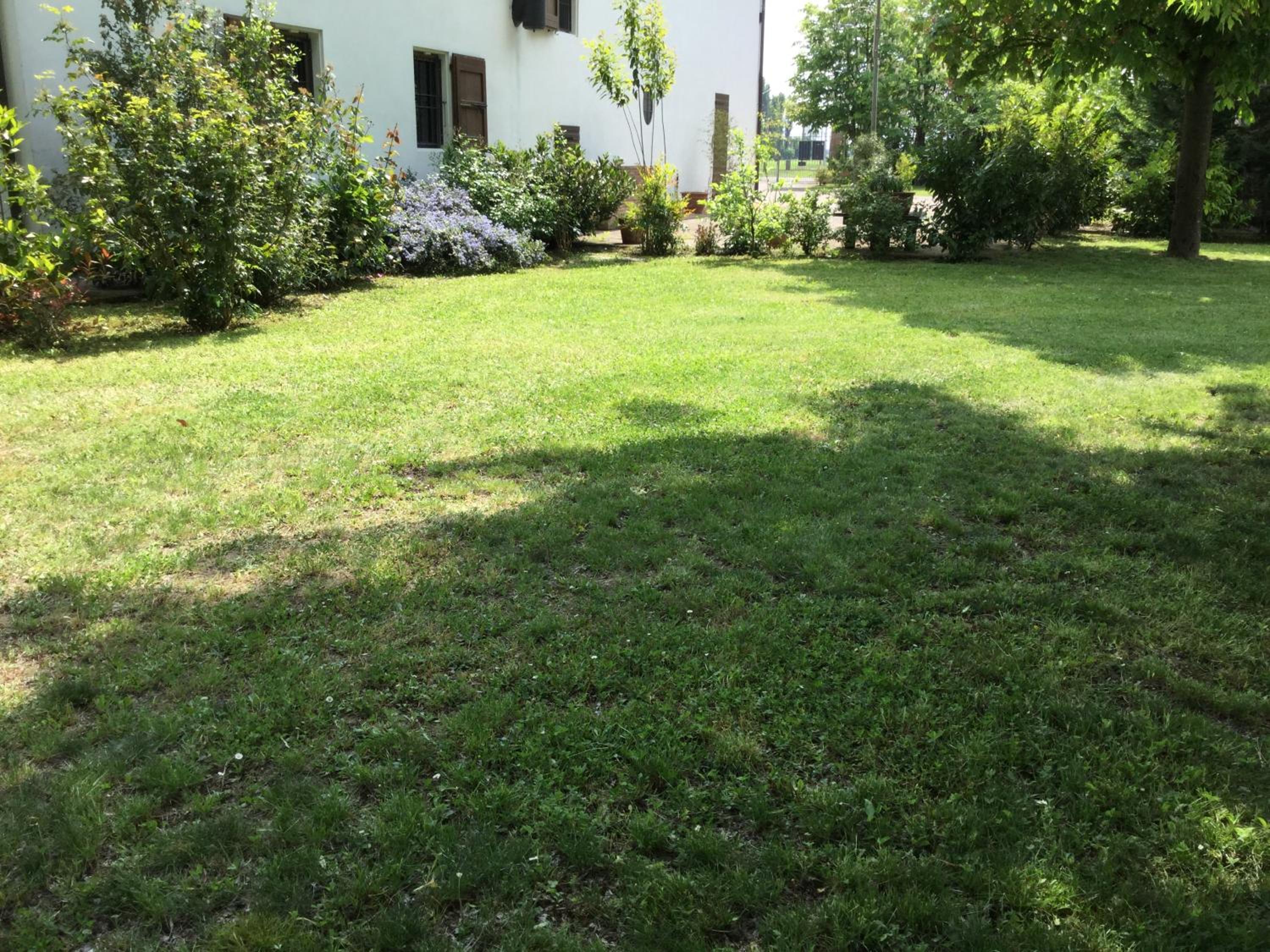 Photo 33