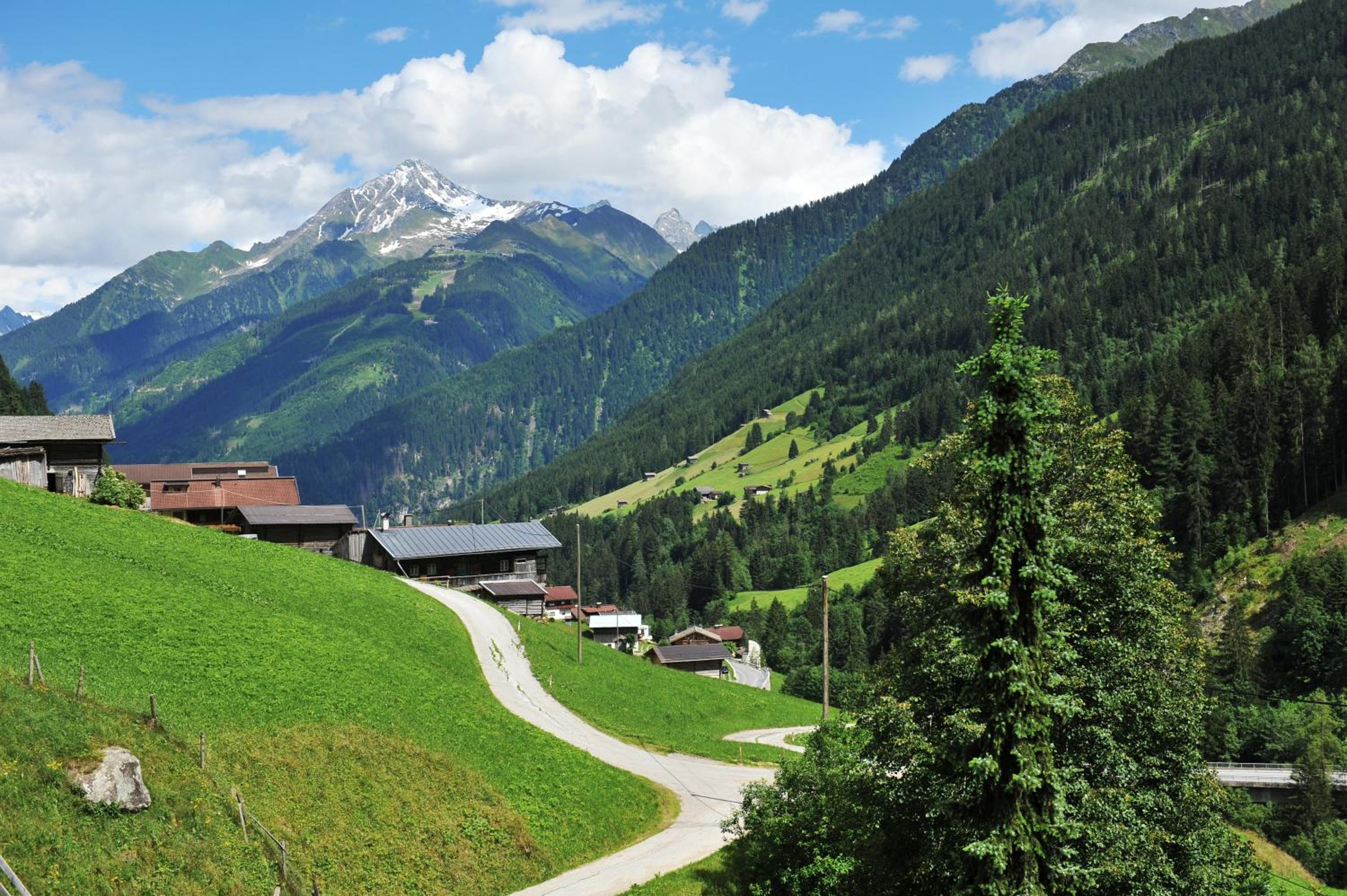 Bauernhof Entalhof