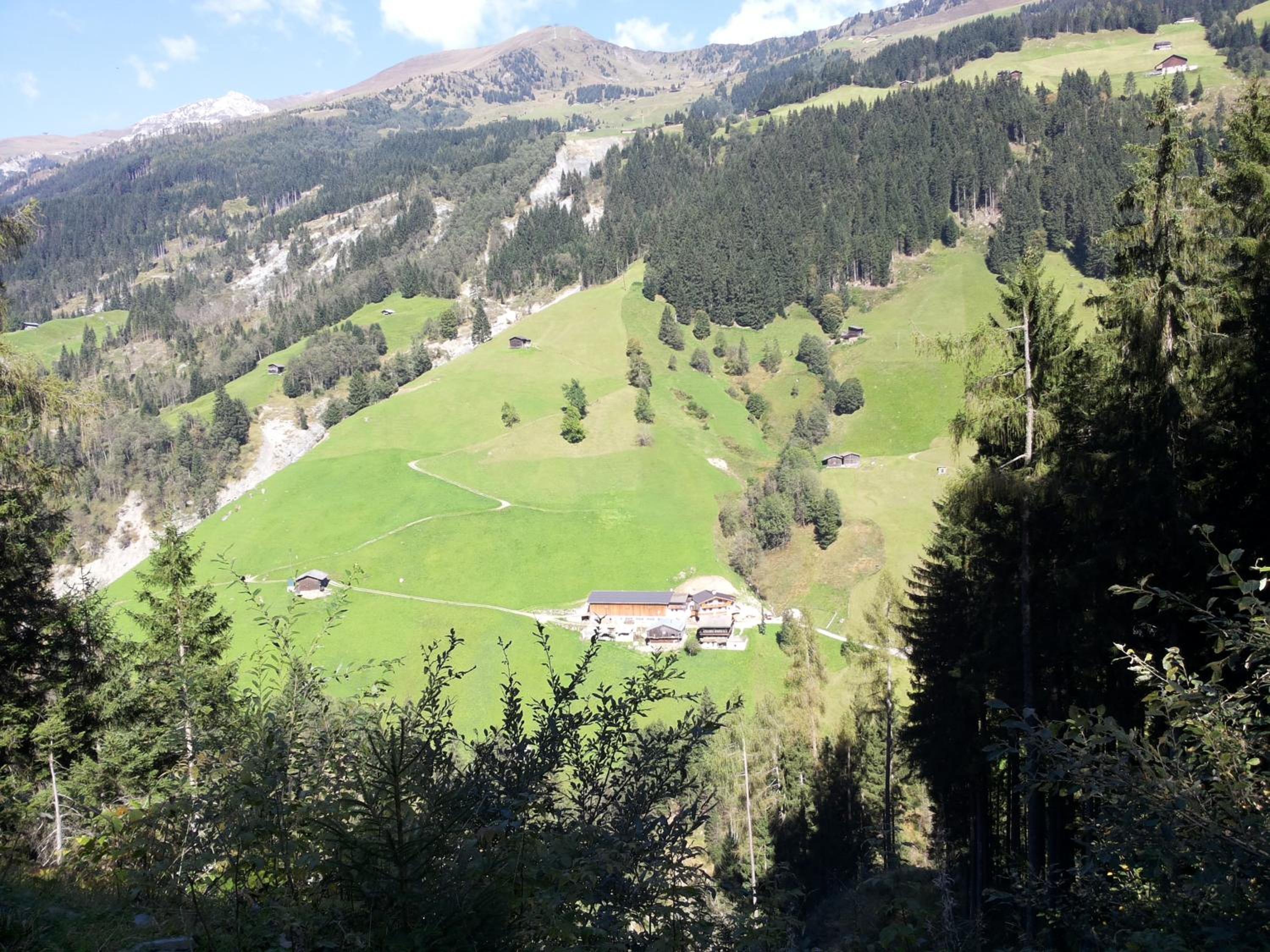 Bauernhof Entalhof