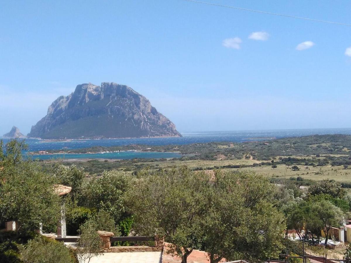 Holiday Homes view 4