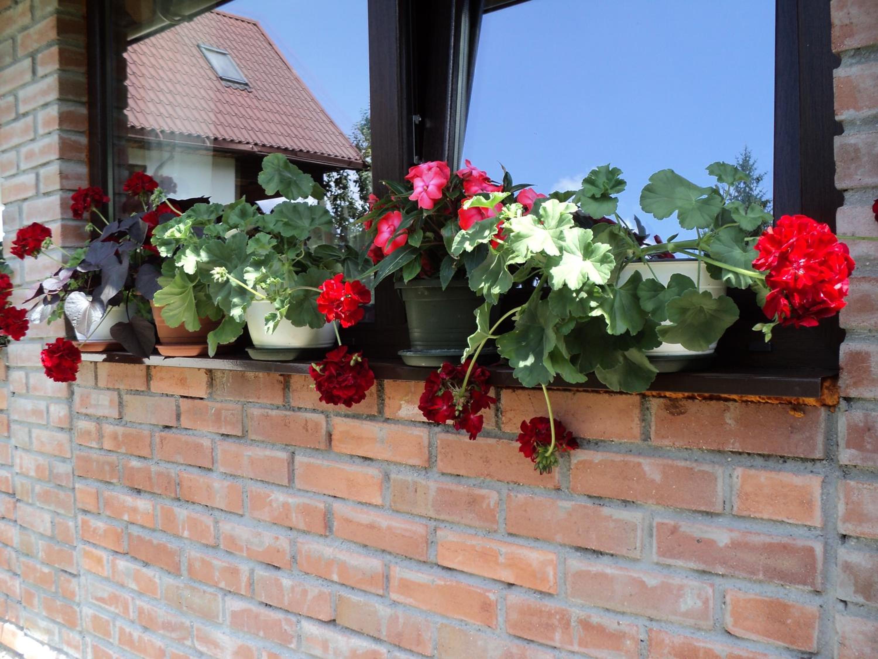 Photo 55