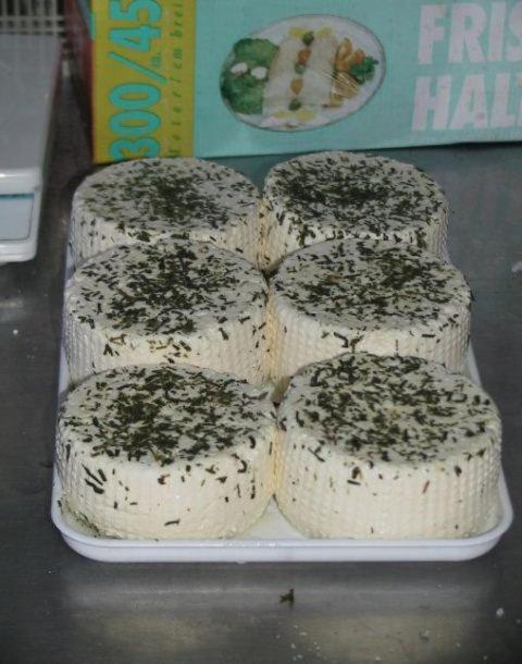 Gapphof