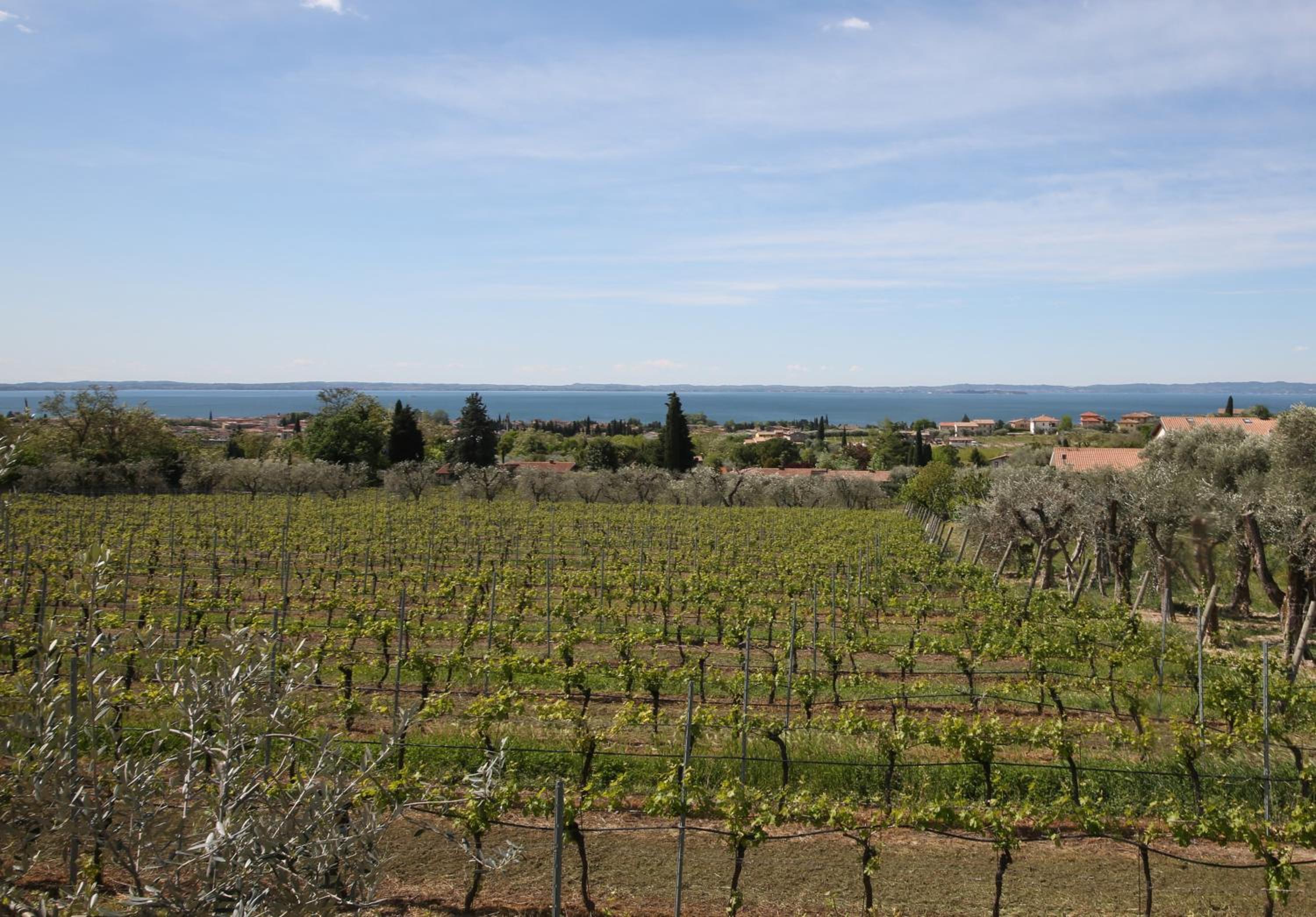 Appartamenti Bellavista
