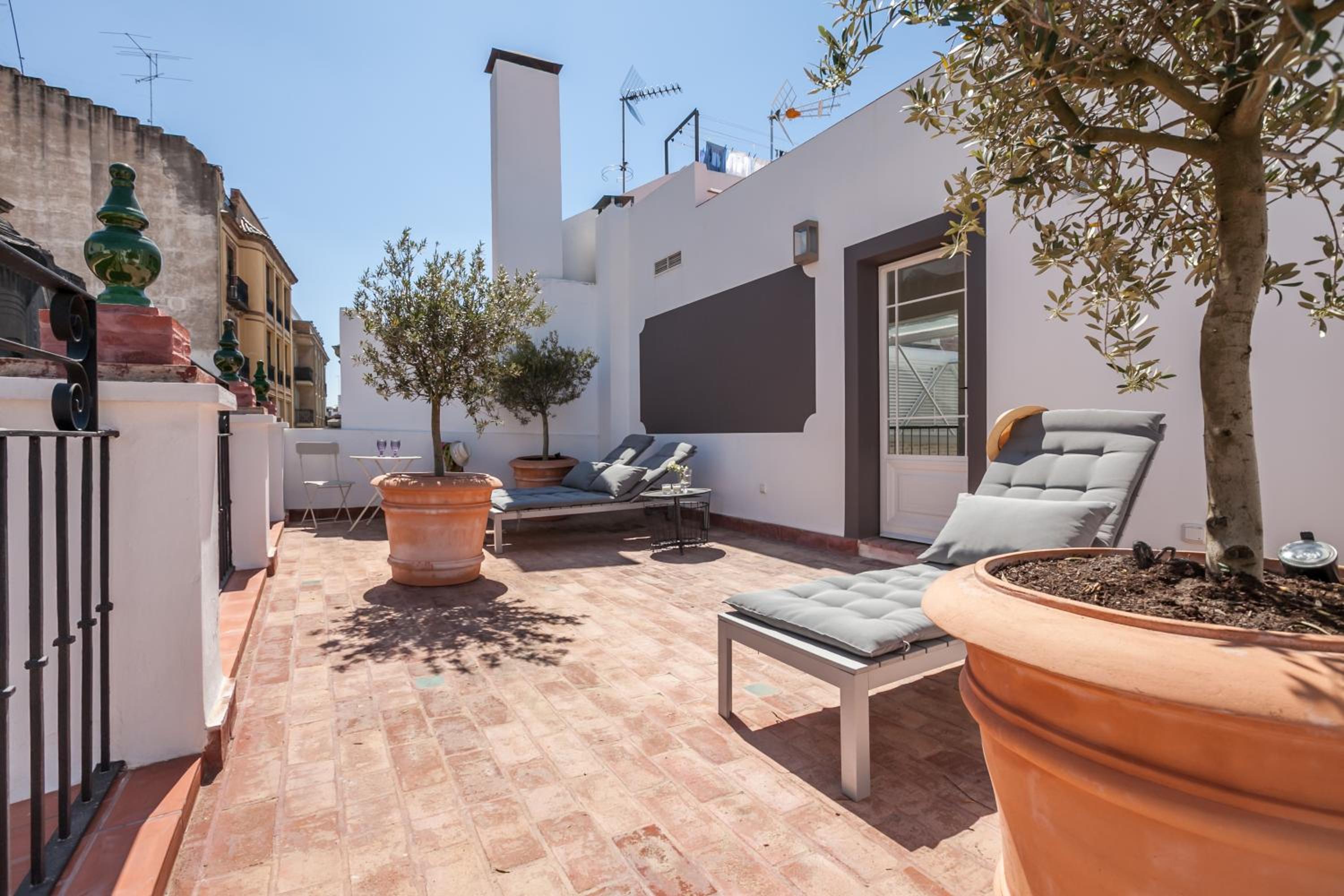 Tomas Ibarra Pool & Luxury