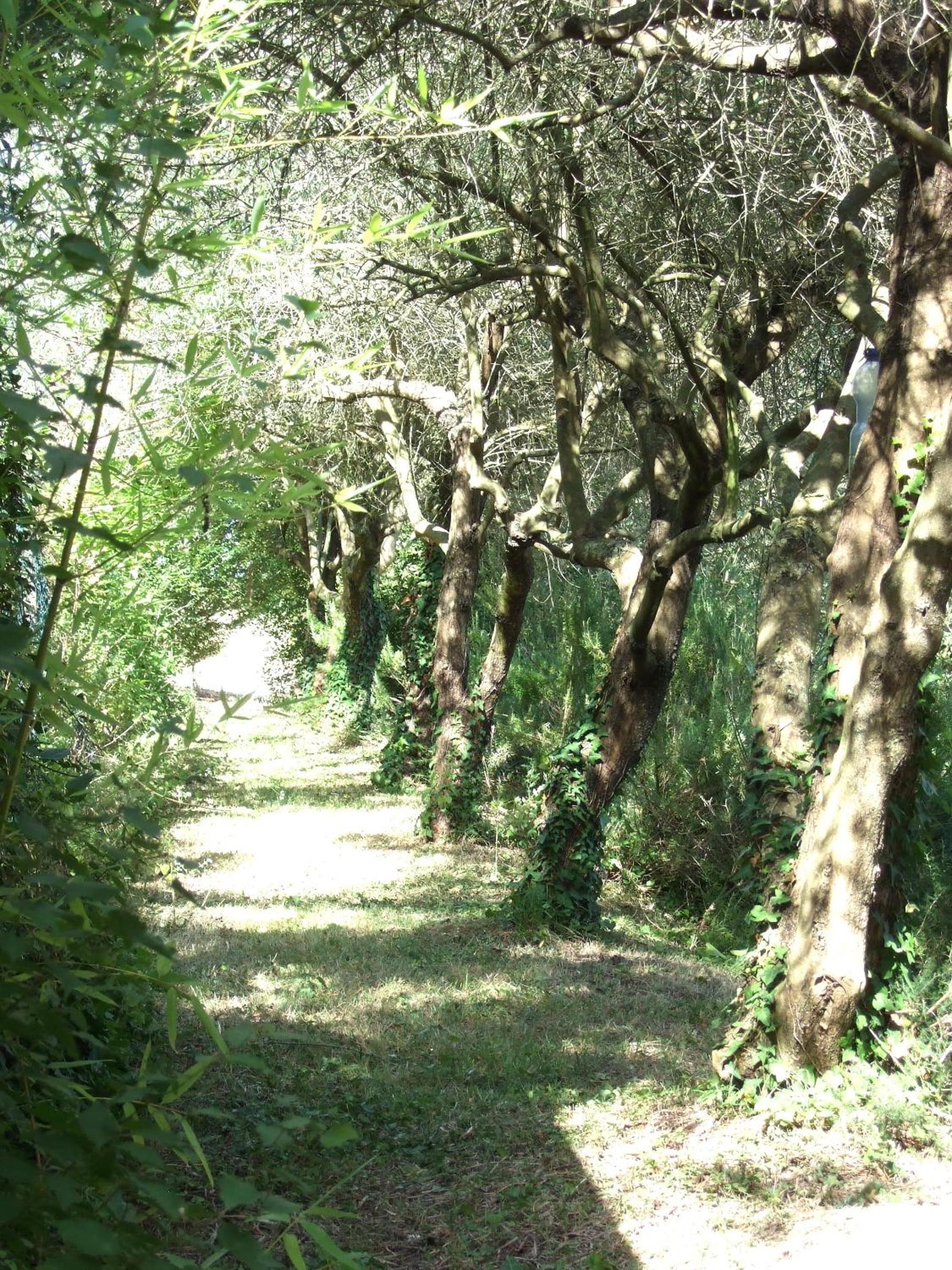 Agriturismo La Casa della Lavanda - Il Casale