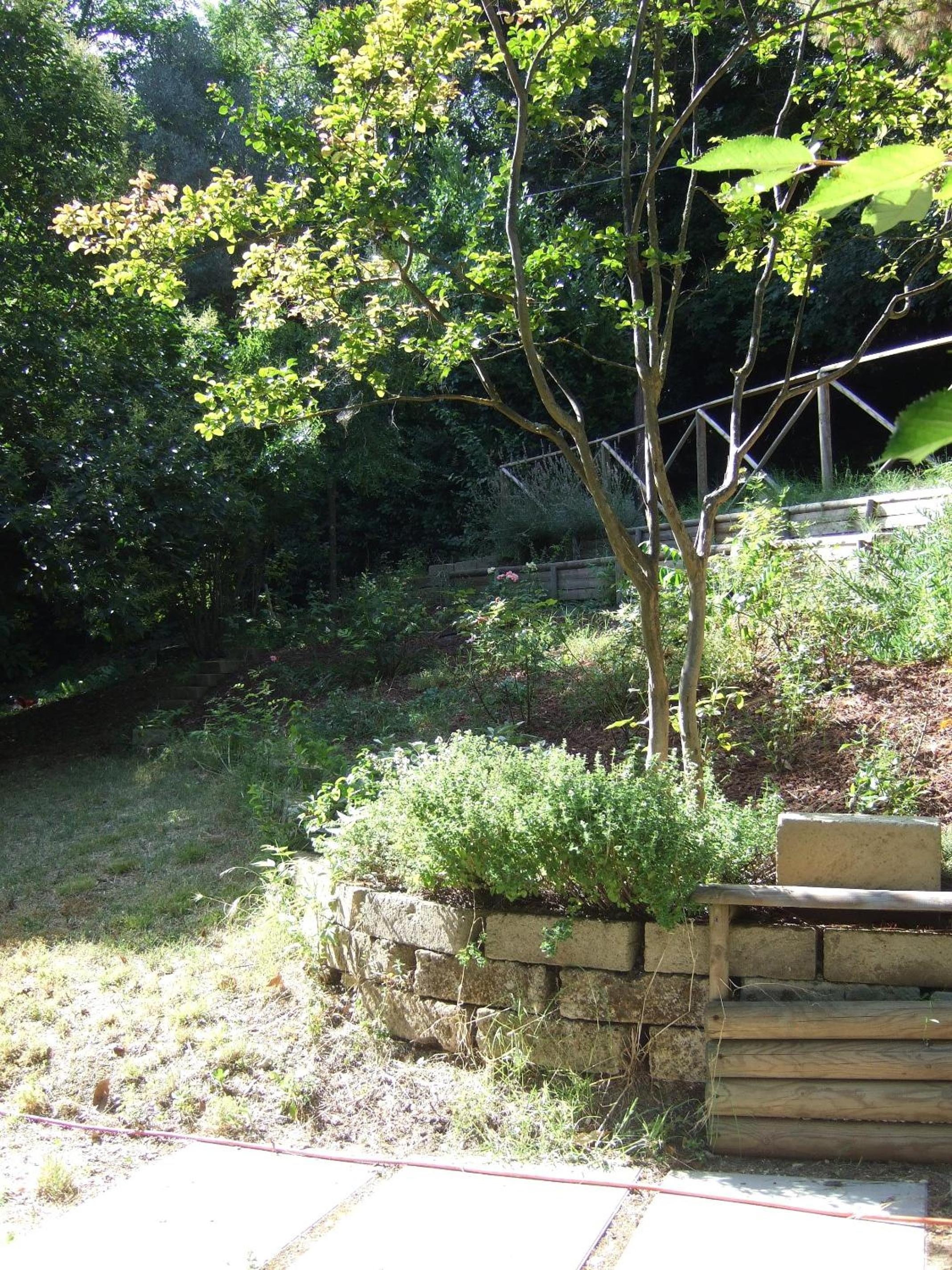 Agriturismo La Casa della Lavanda - Il Casale