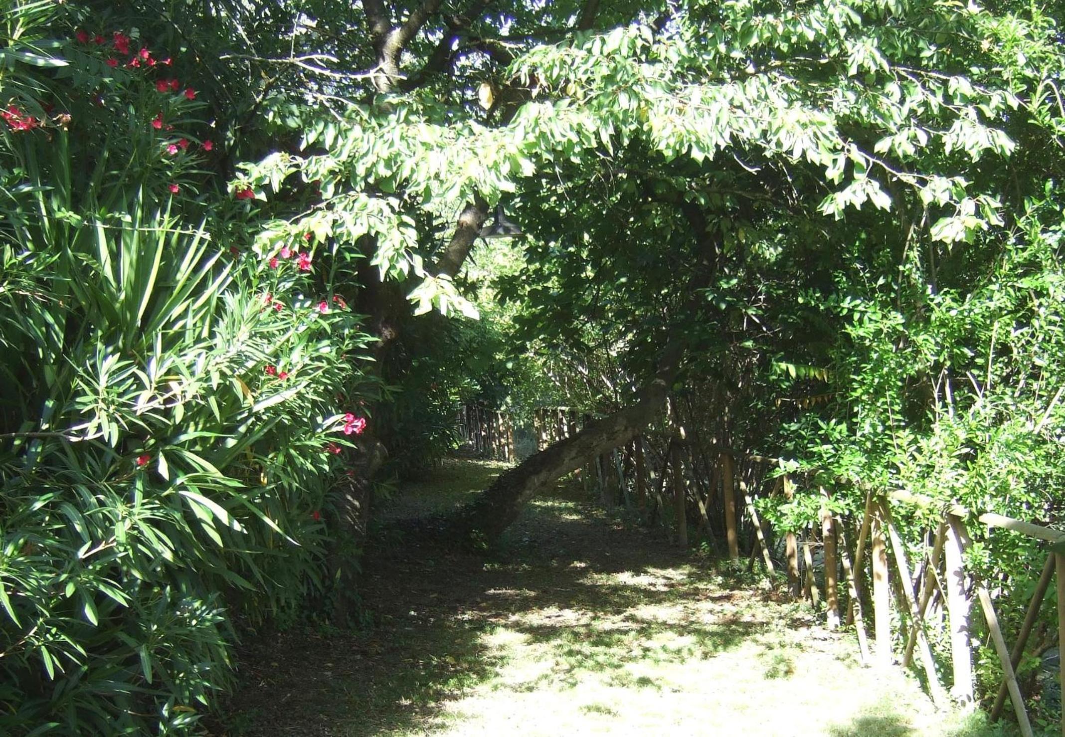 Agriturismo La Casa della Lavanda - Il Casale