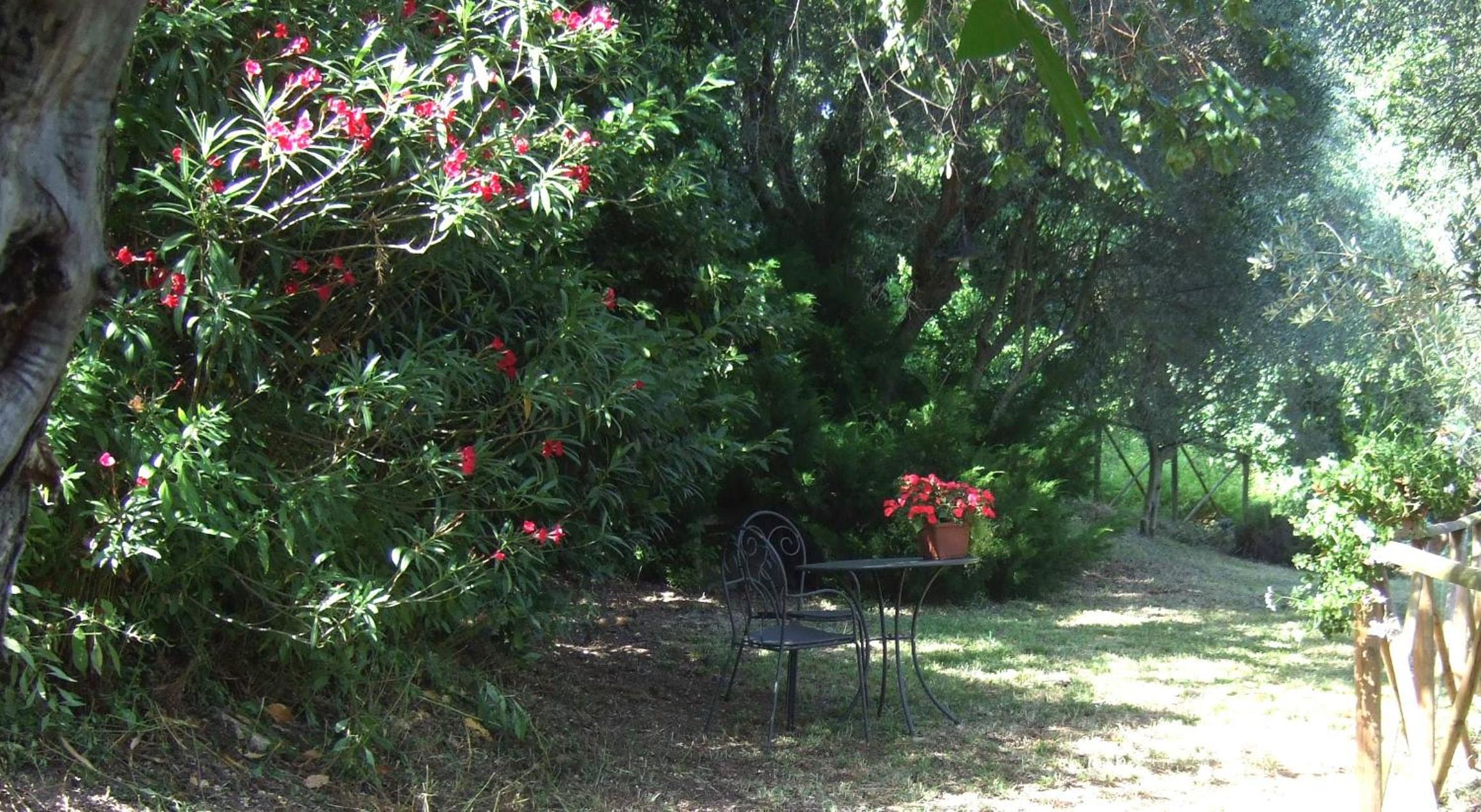 Agriturismo La Casa della Lavanda - Il Casale