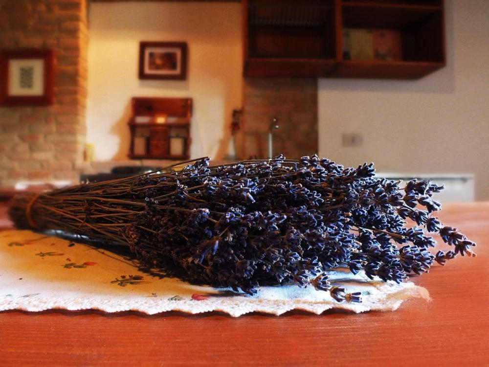 Agriturismo La Casa della Lavanda - Il Casale