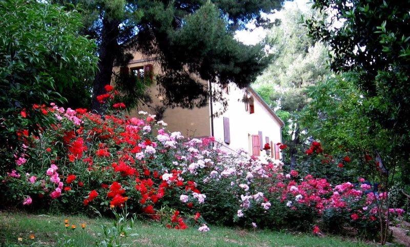 Agriturismo La Casa della Lavanda - Il Casale