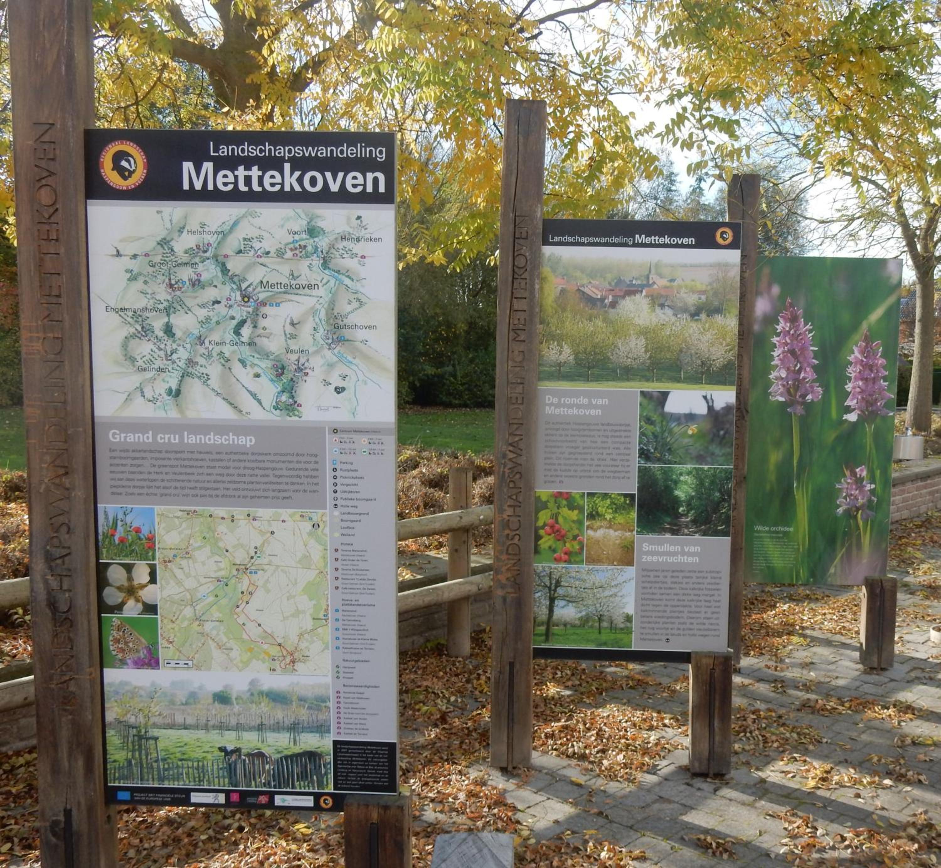 Vakantiehuis Haspengouw - Pastorij Mettekoven