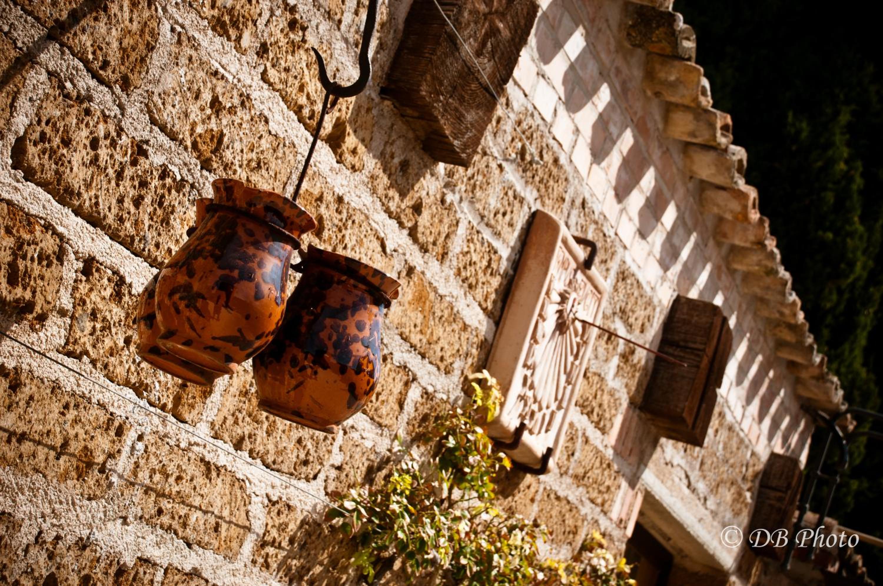 Maison de campagne La Cipolla D'oro, Photo 9