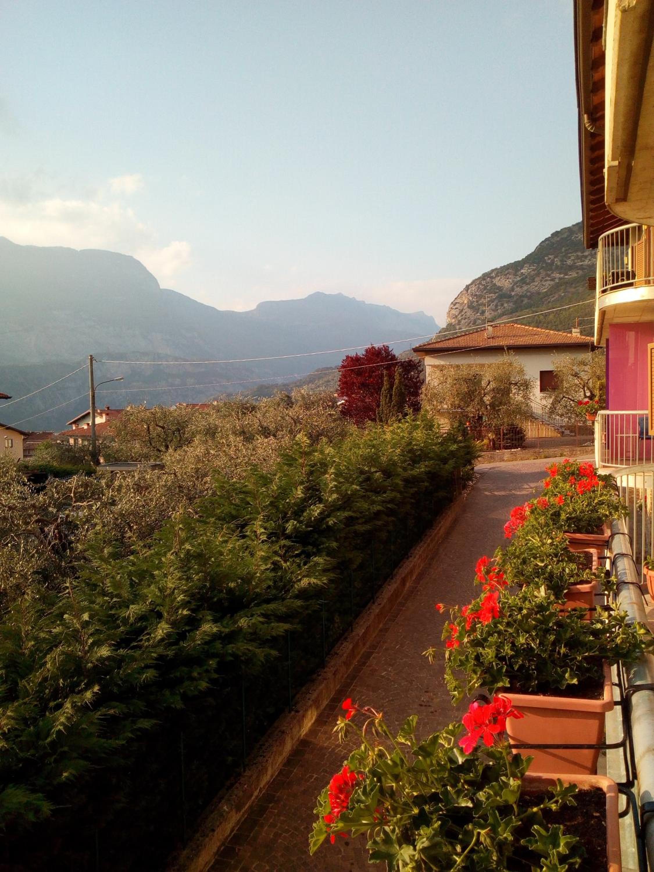 B&B agli Ulivi