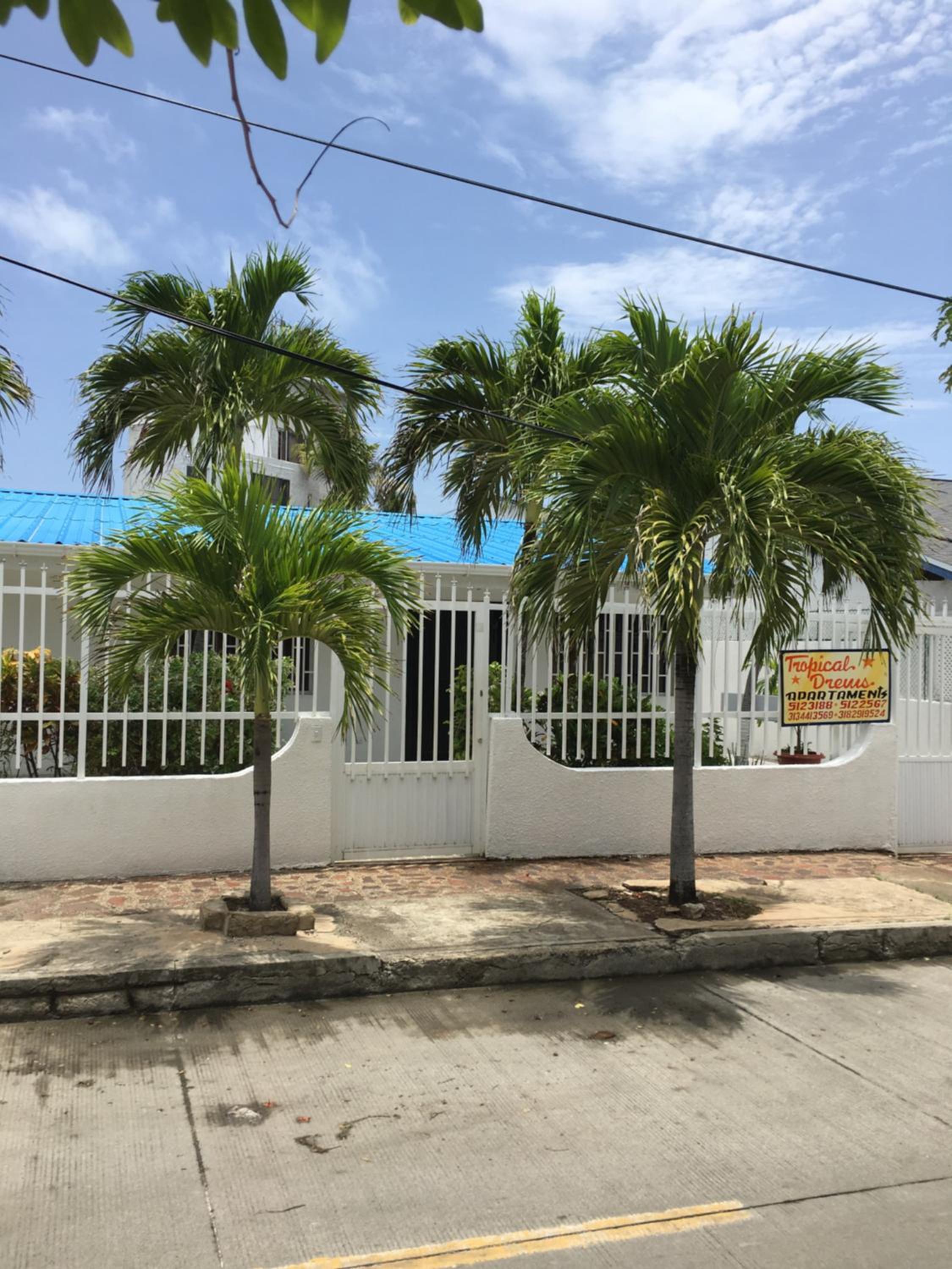 Tropical Dreams