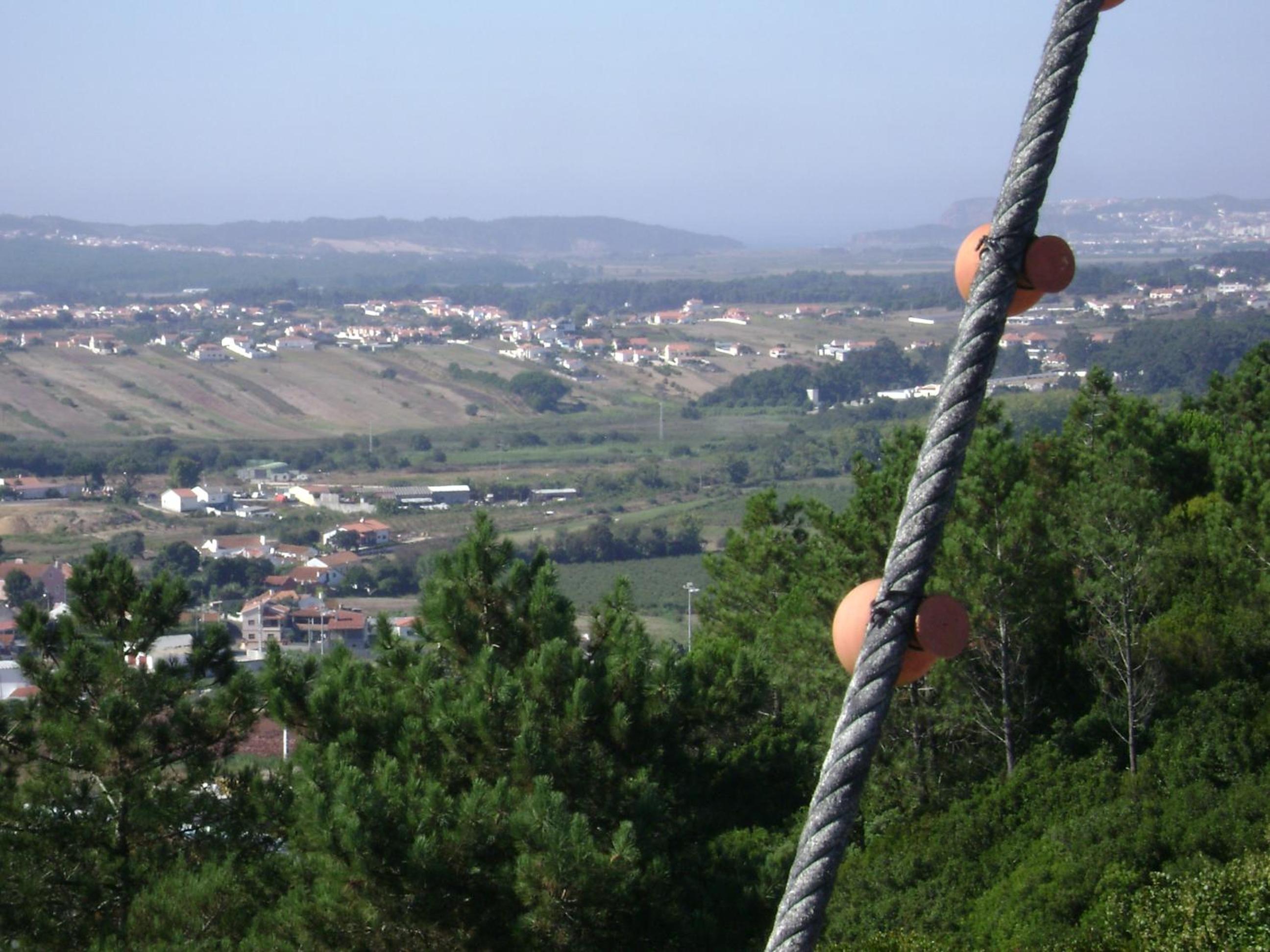 Photo 45