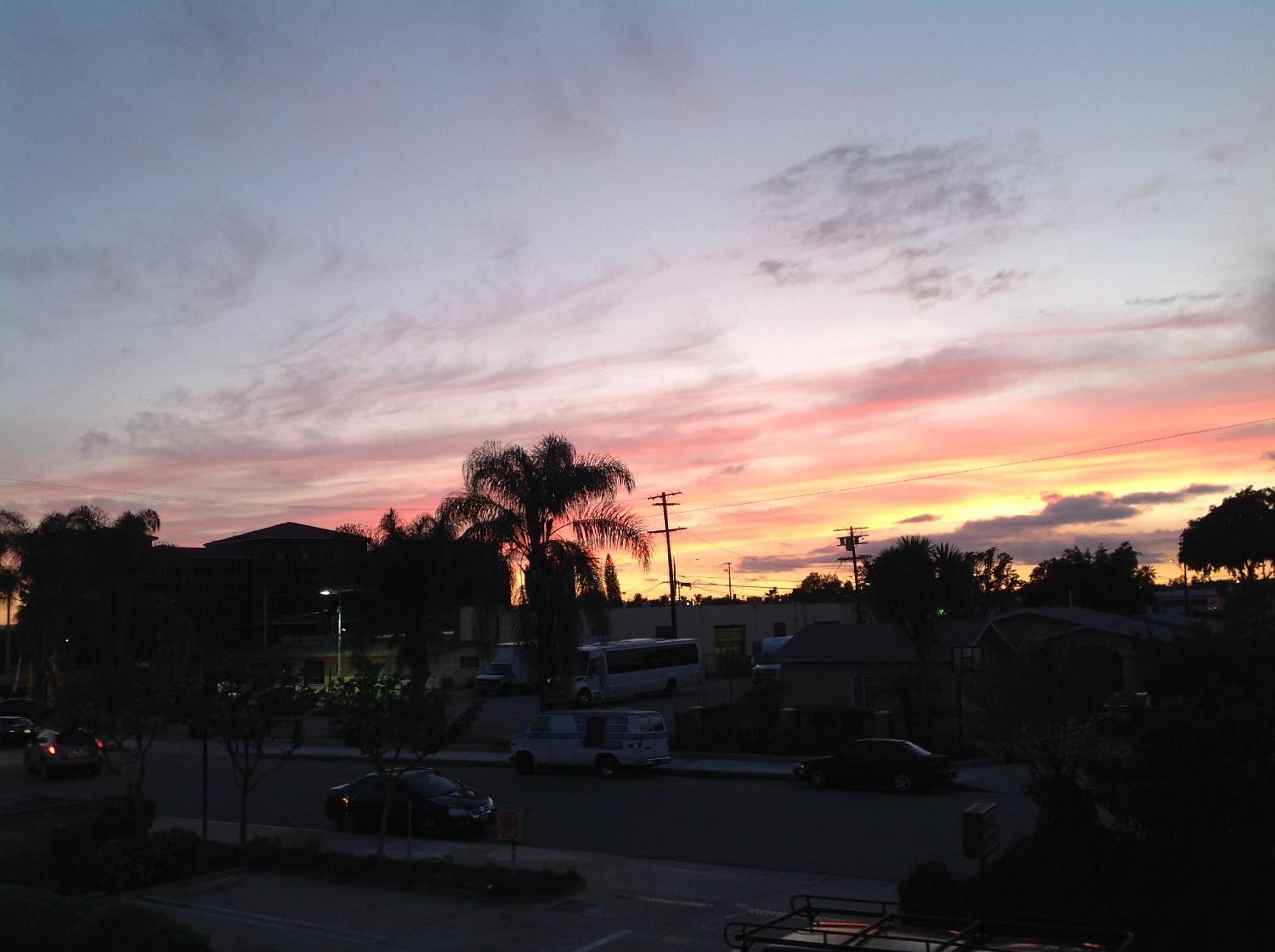 Photo 38